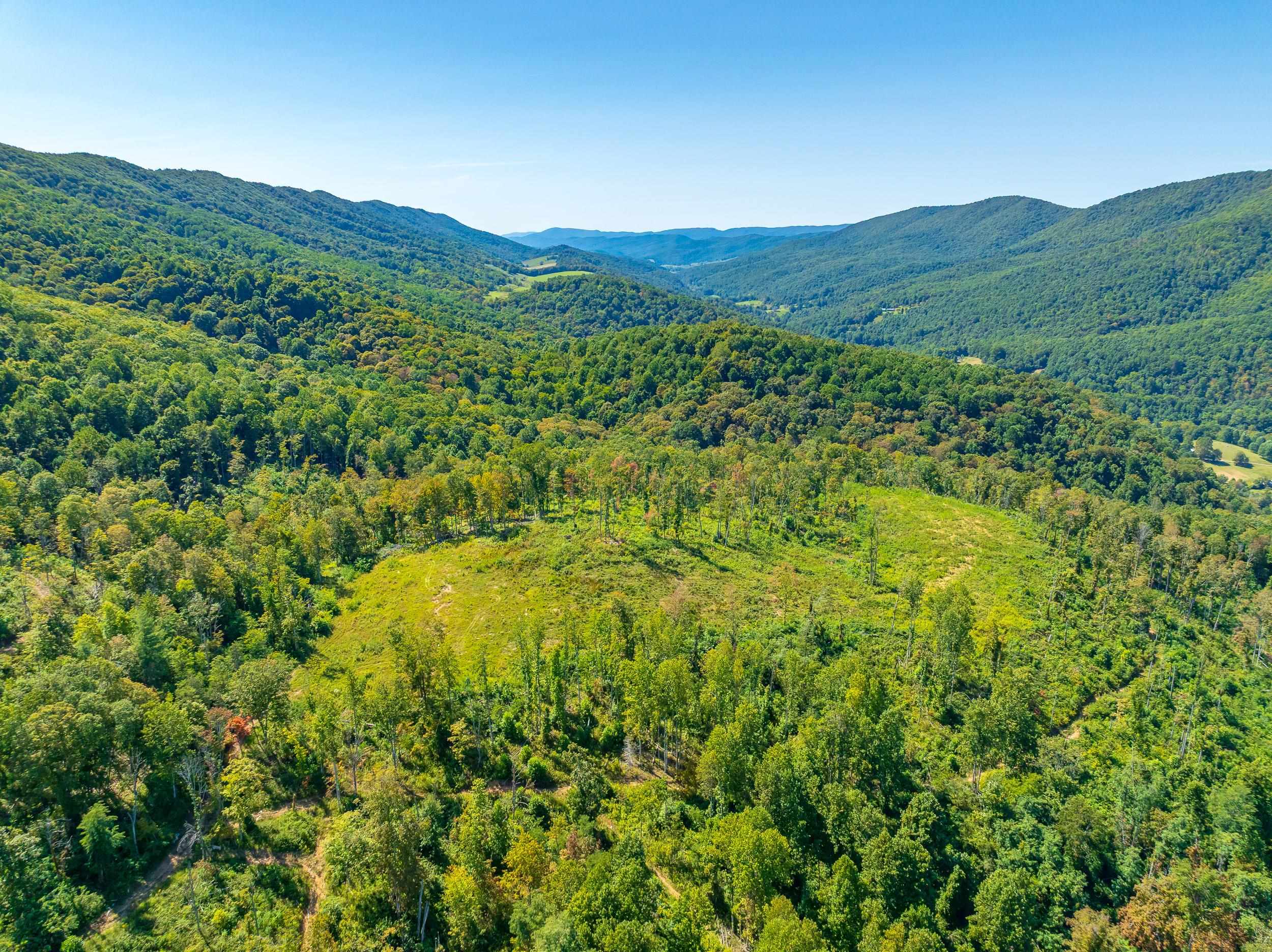 Tbd Wolf Creek Road Narrows VA 24124