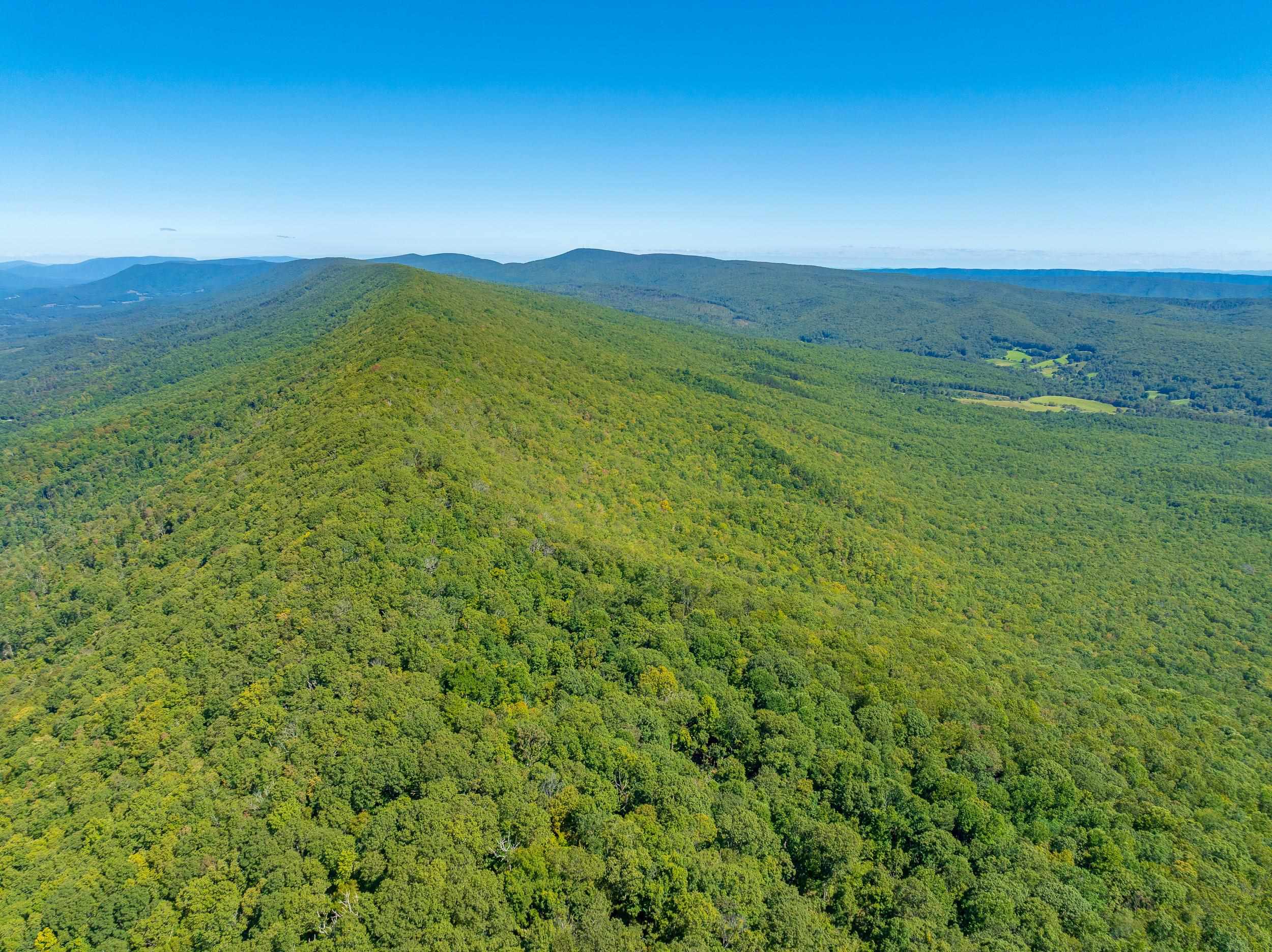 Tbd Wolf Creek Road Narrows VA 24124