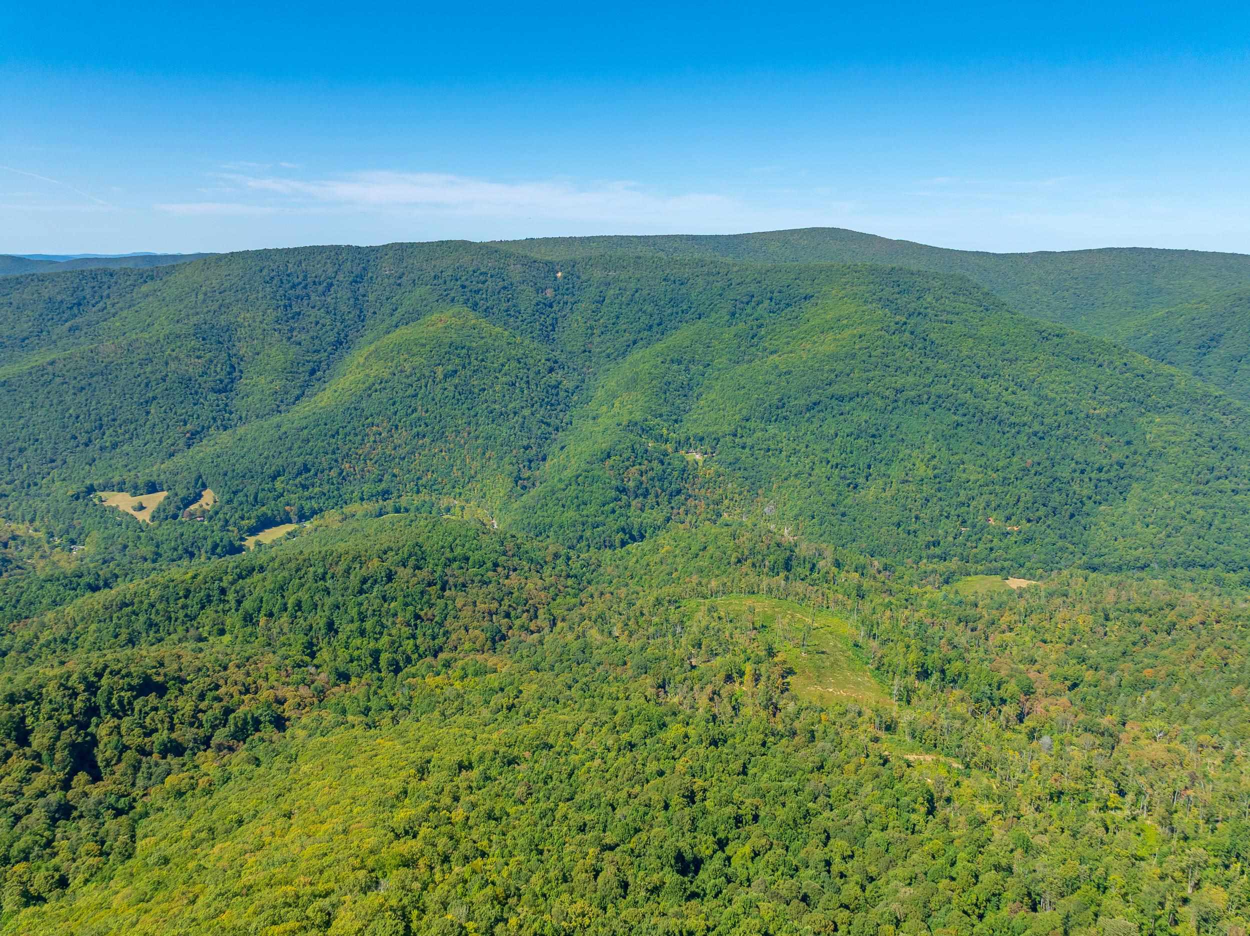 Tbd Wolf Creek Road Narrows VA 24124