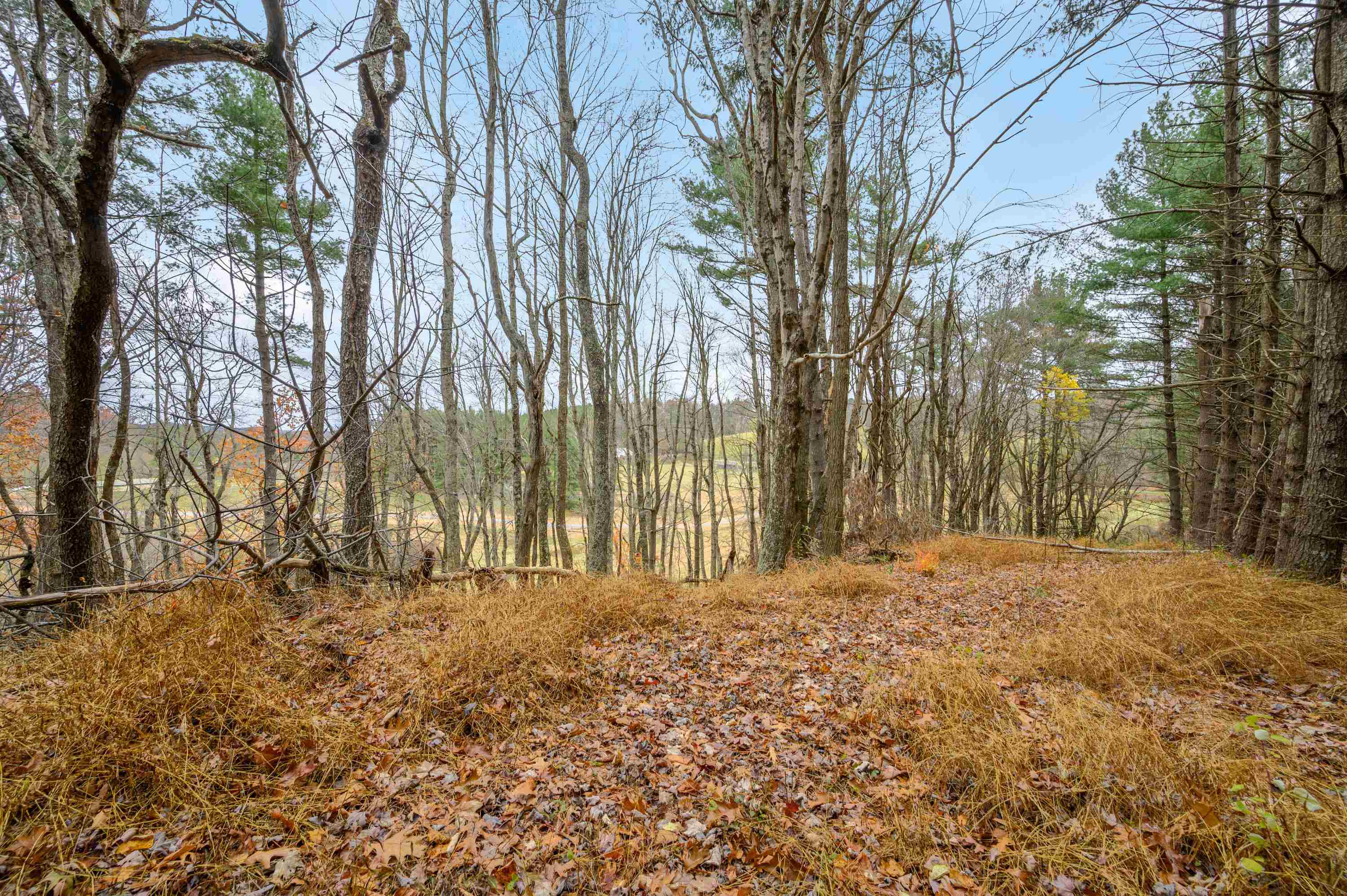 Pilot VA, 3200 Stonewall Road NE