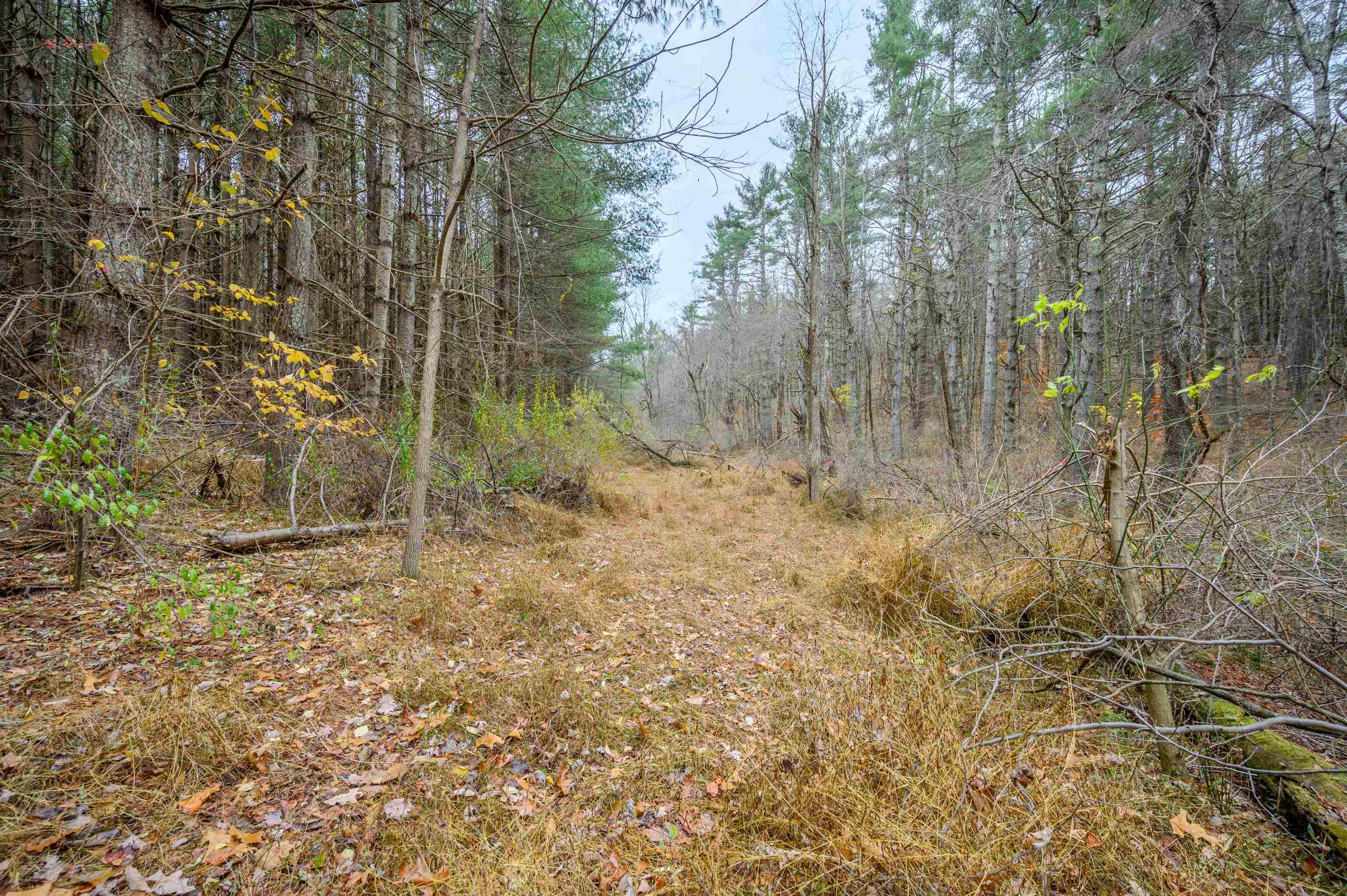 3200 Stonewall Road NE Pilot VA 24138