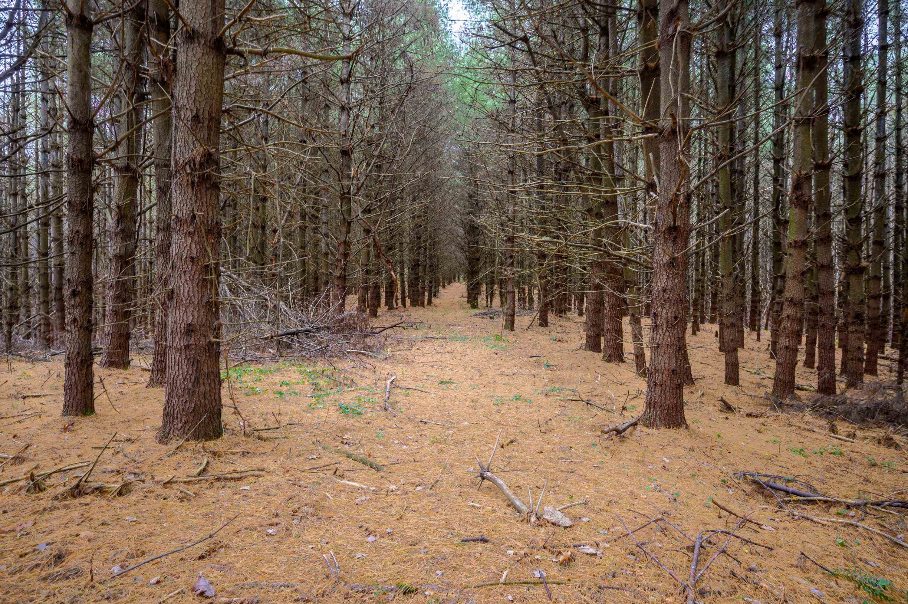 3200 Stonewall Road NE Pilot VA 24138