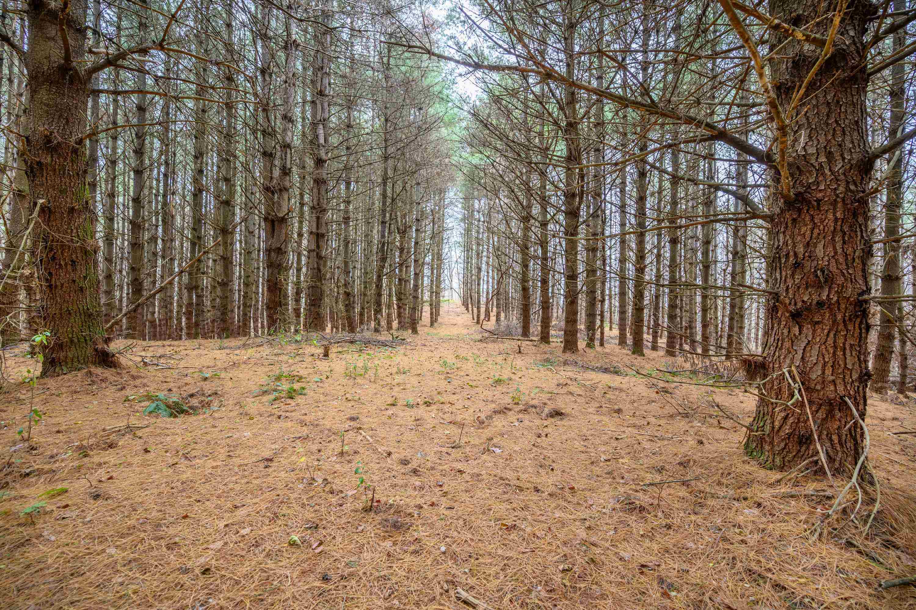 3200 Stonewall Road NE Pilot VA 24138