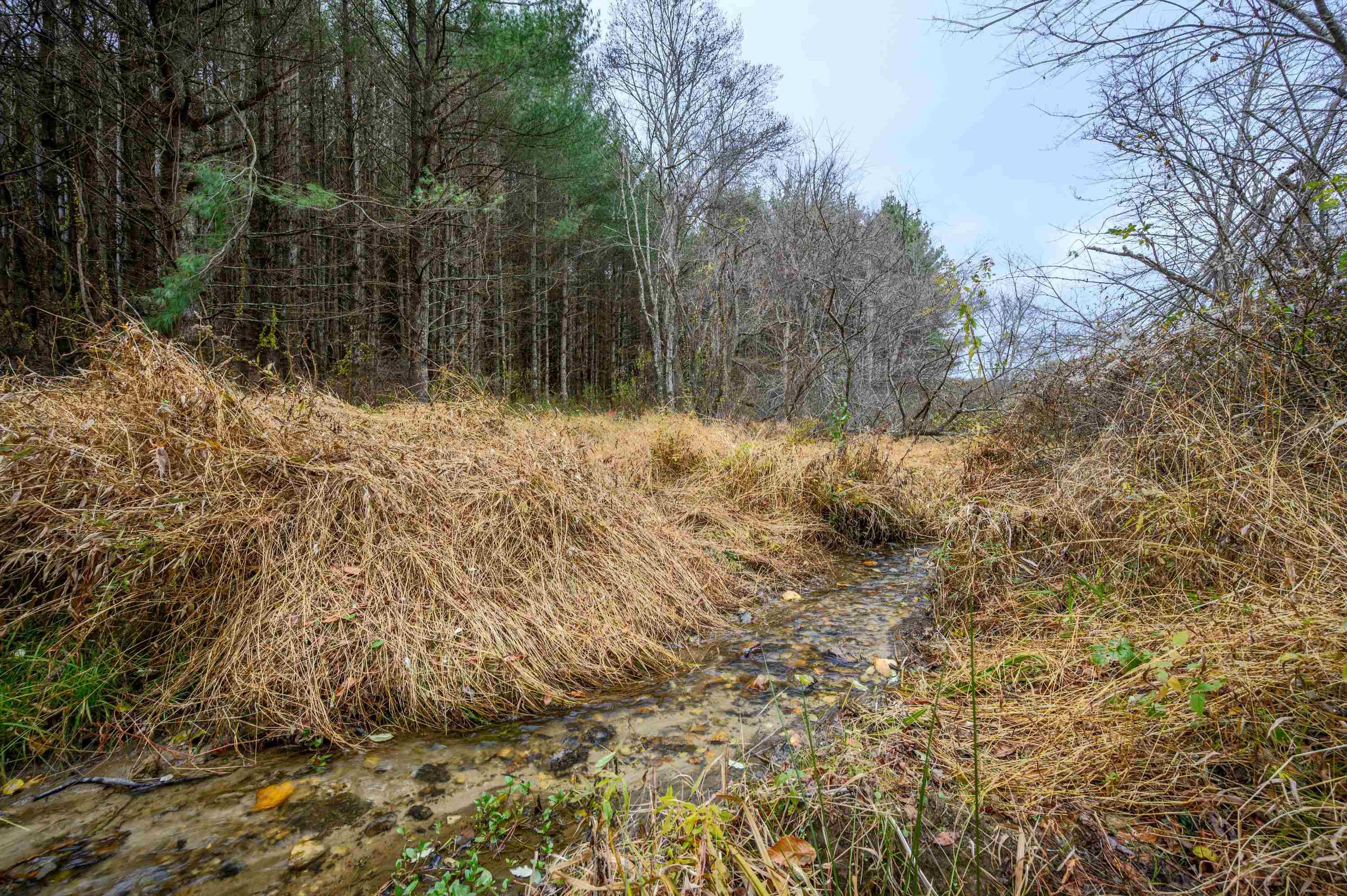 3200 Stonewall Road NE Pilot VA 24138