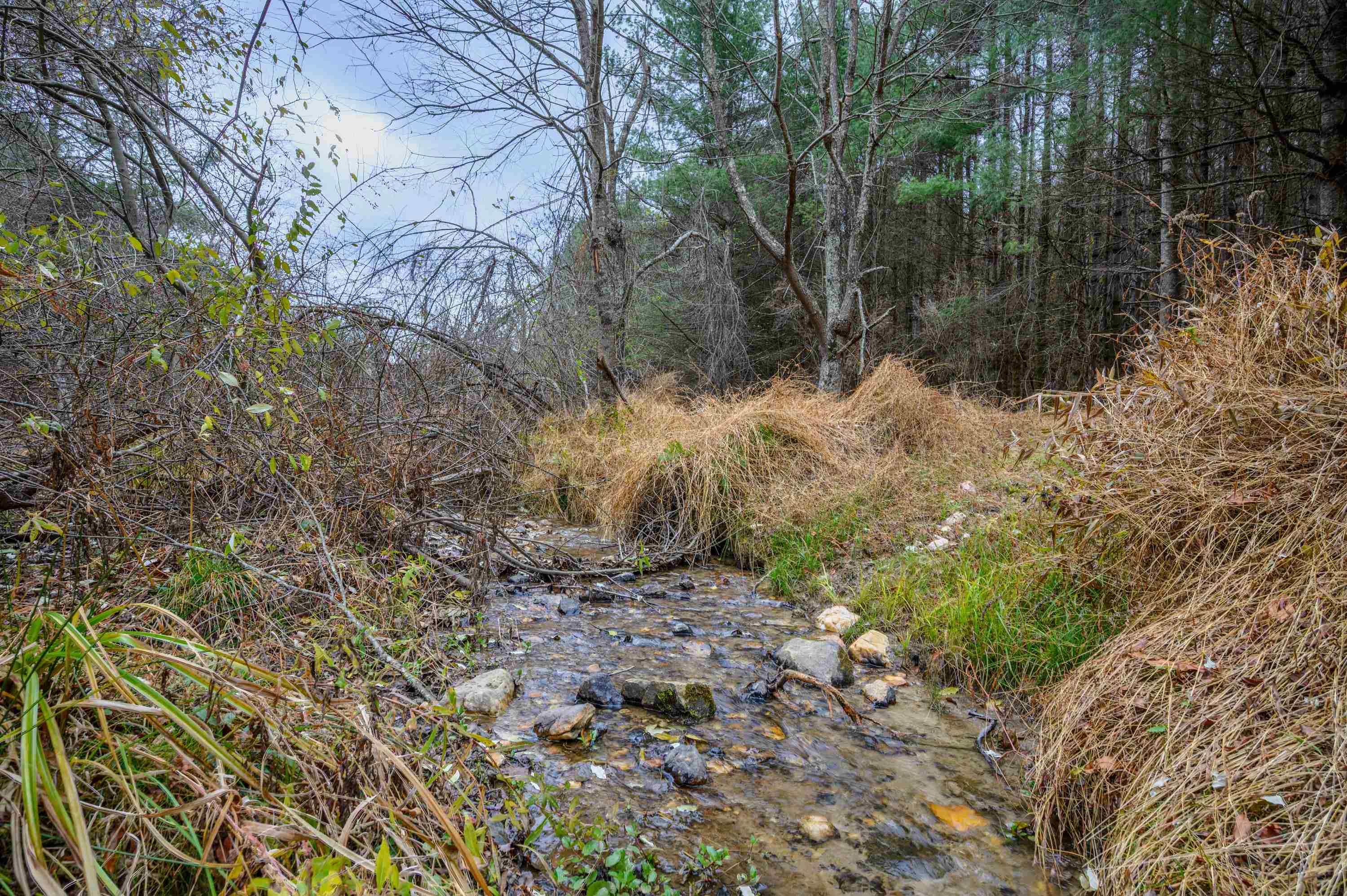 3200 Stonewall Road NE Pilot VA 24138