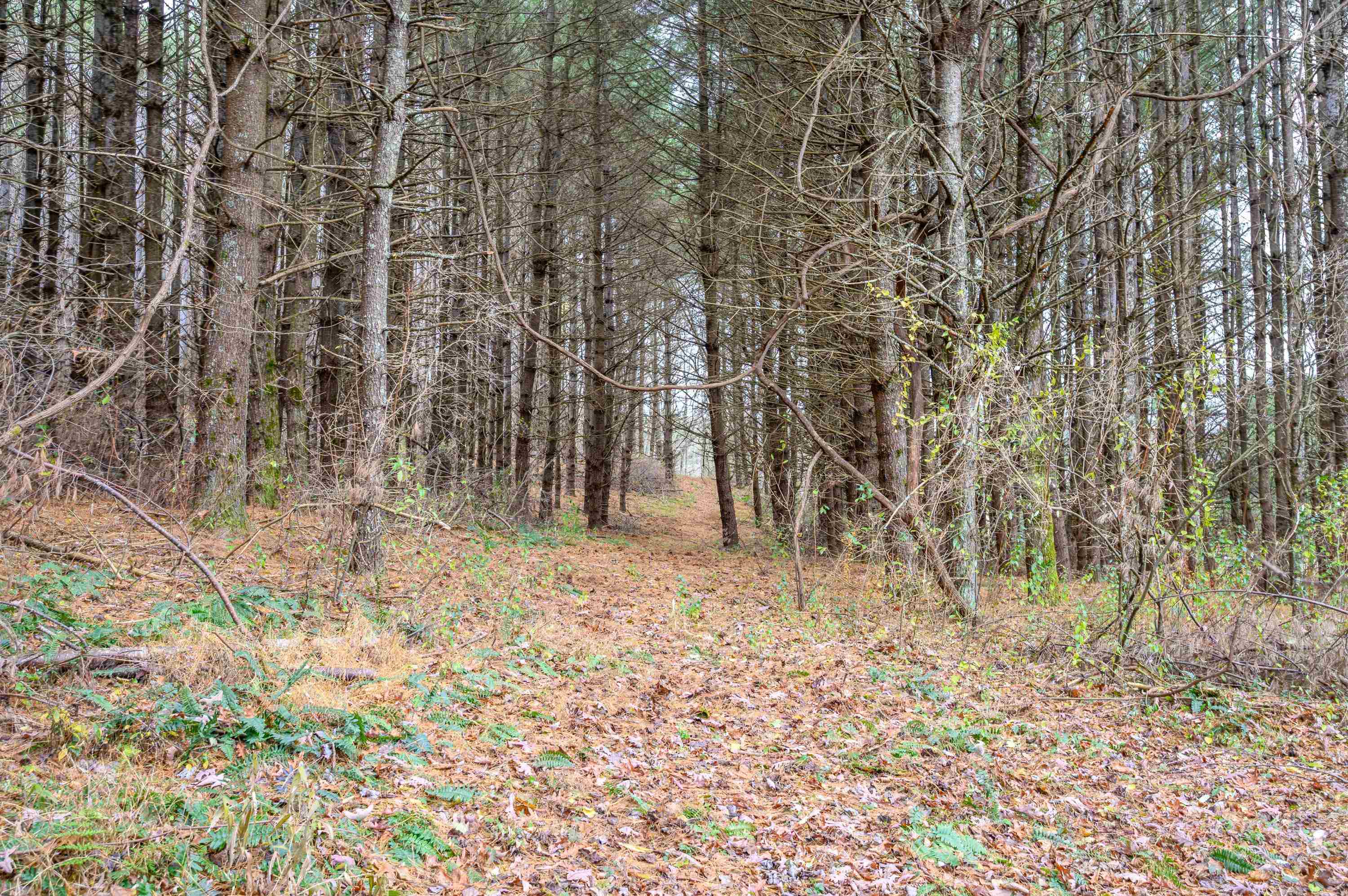 3200 Stonewall Road NE Pilot VA 24138