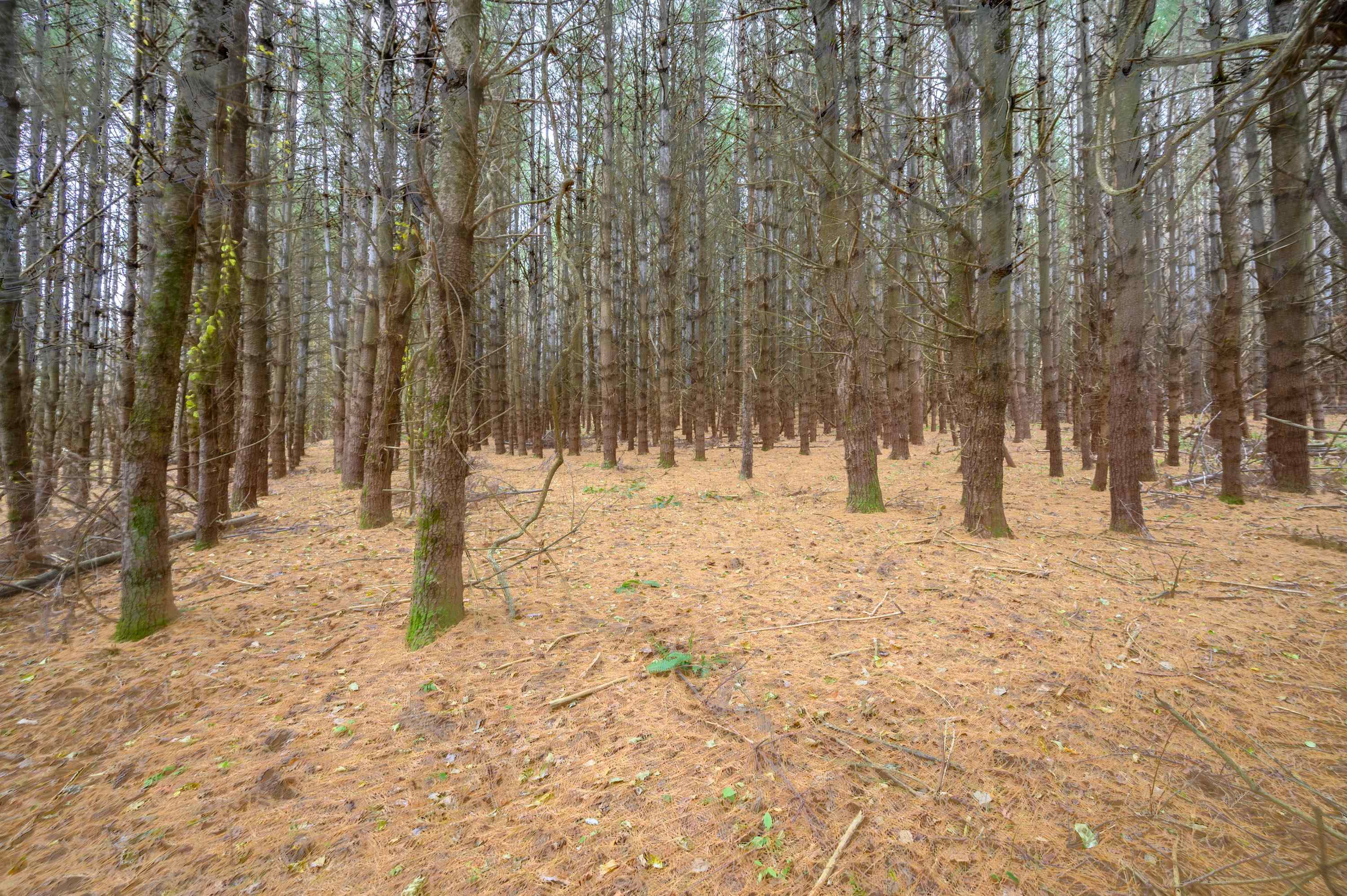 3200 Stonewall Road NE Pilot VA 24138