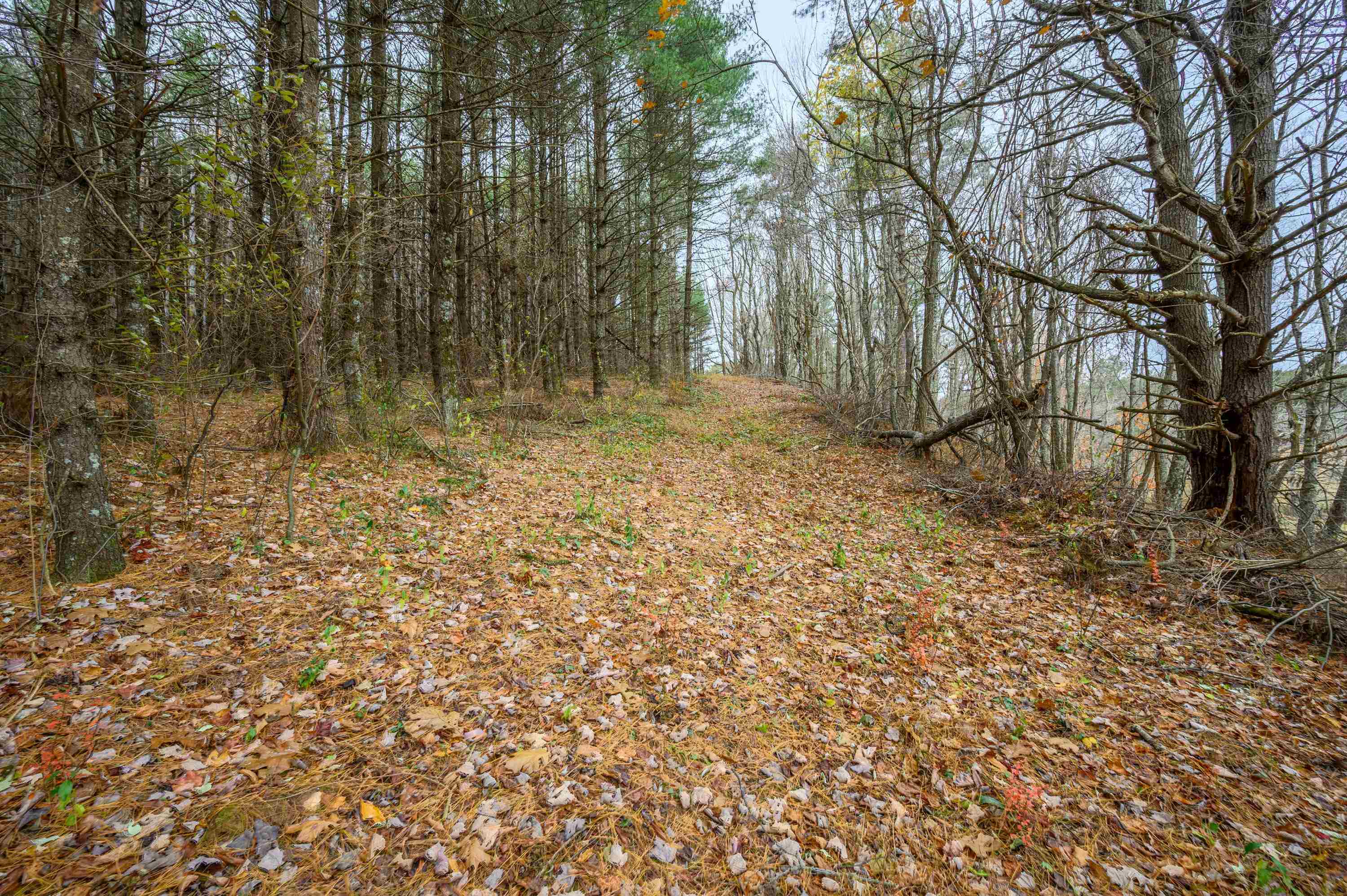 3200 Stonewall Road NE Pilot VA 24138