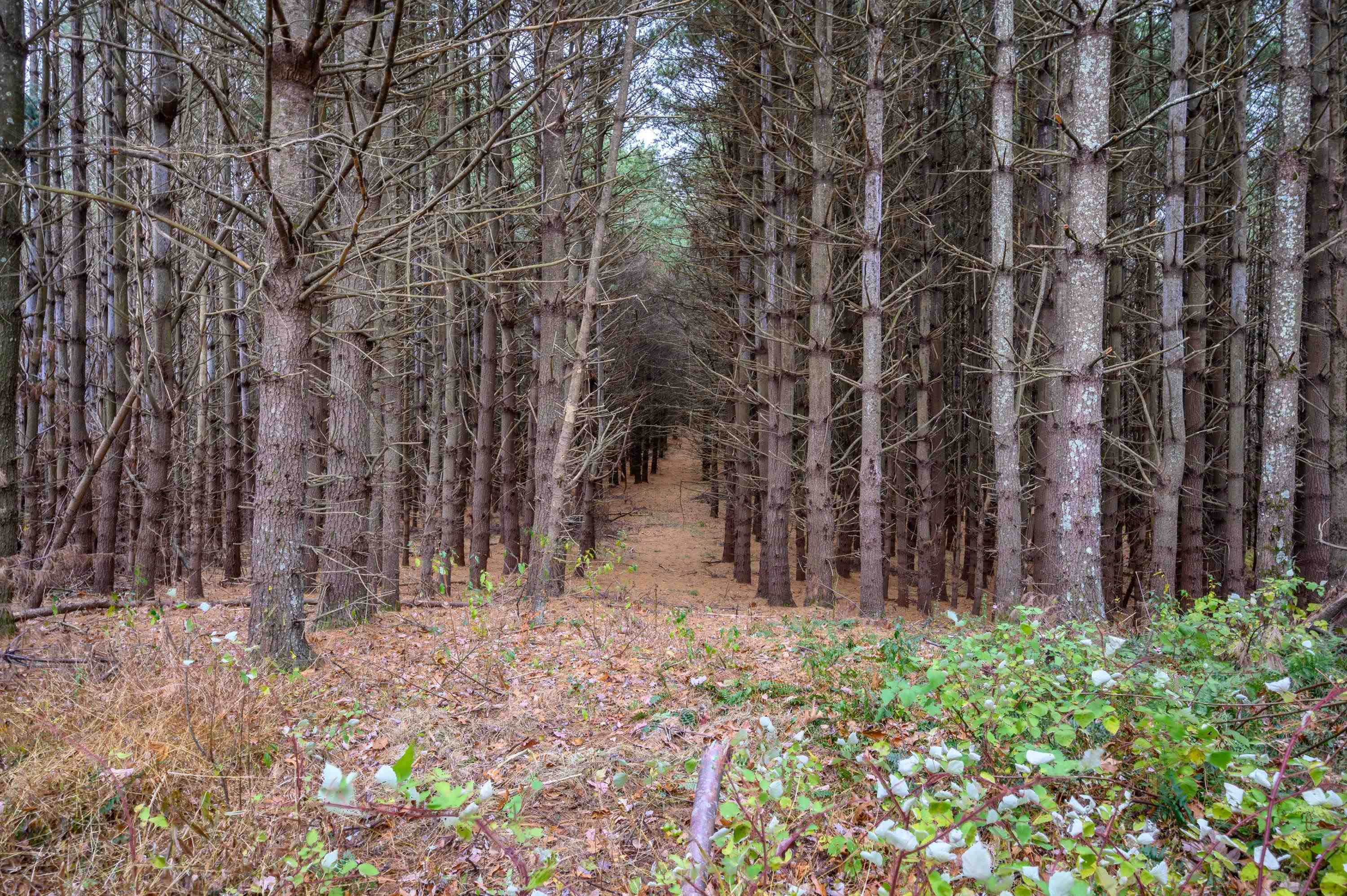 3200 Stonewall Road NE Pilot VA 24138