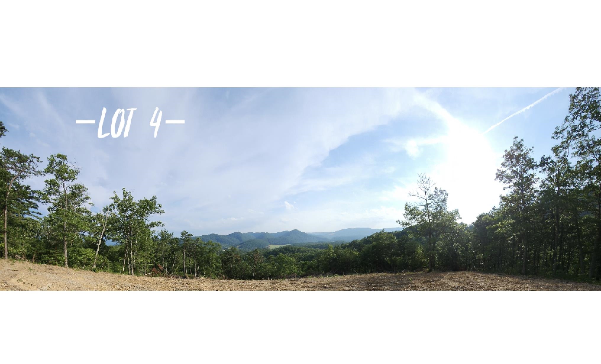 2881 Reese Mountain Road Elliston VA 24087