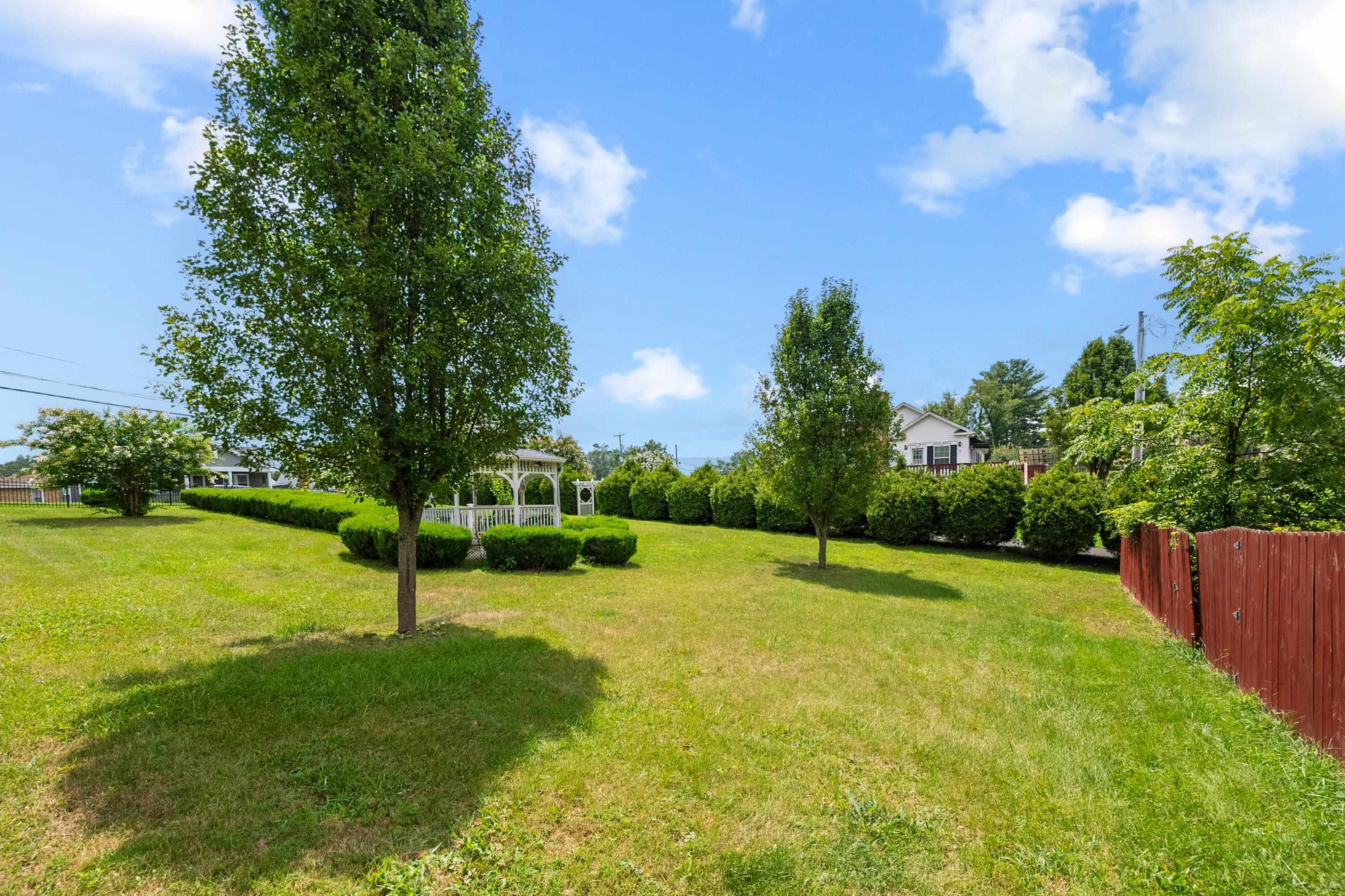 Tbd Randolph Avenue Pulaski VA 24301