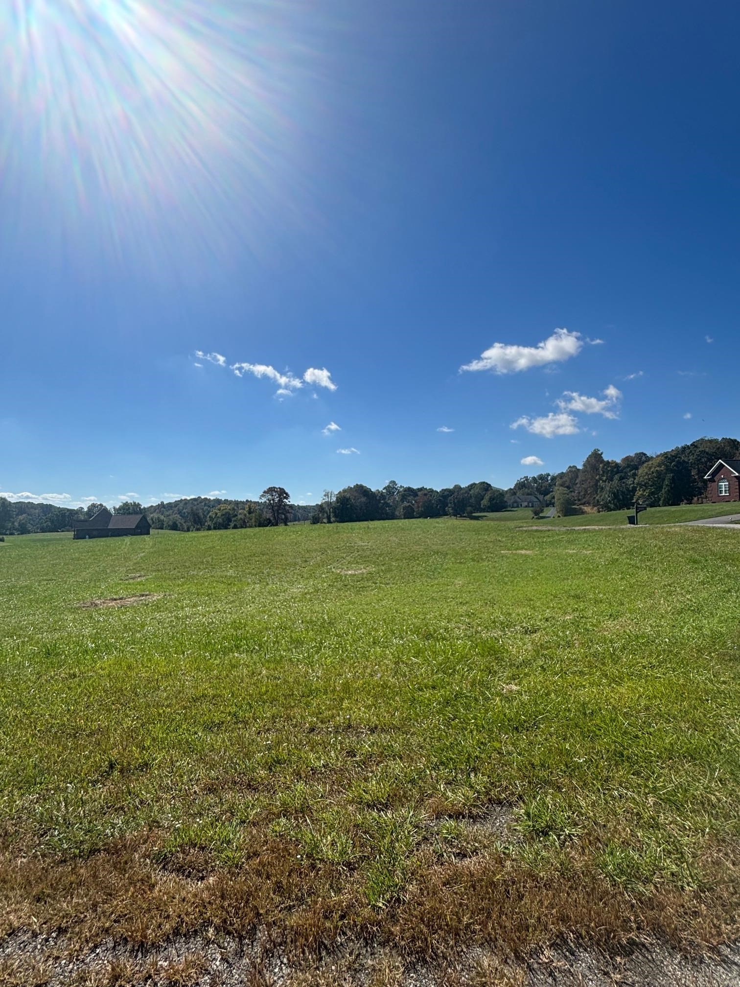Tbd Atwoods Drive Draper VA 24324