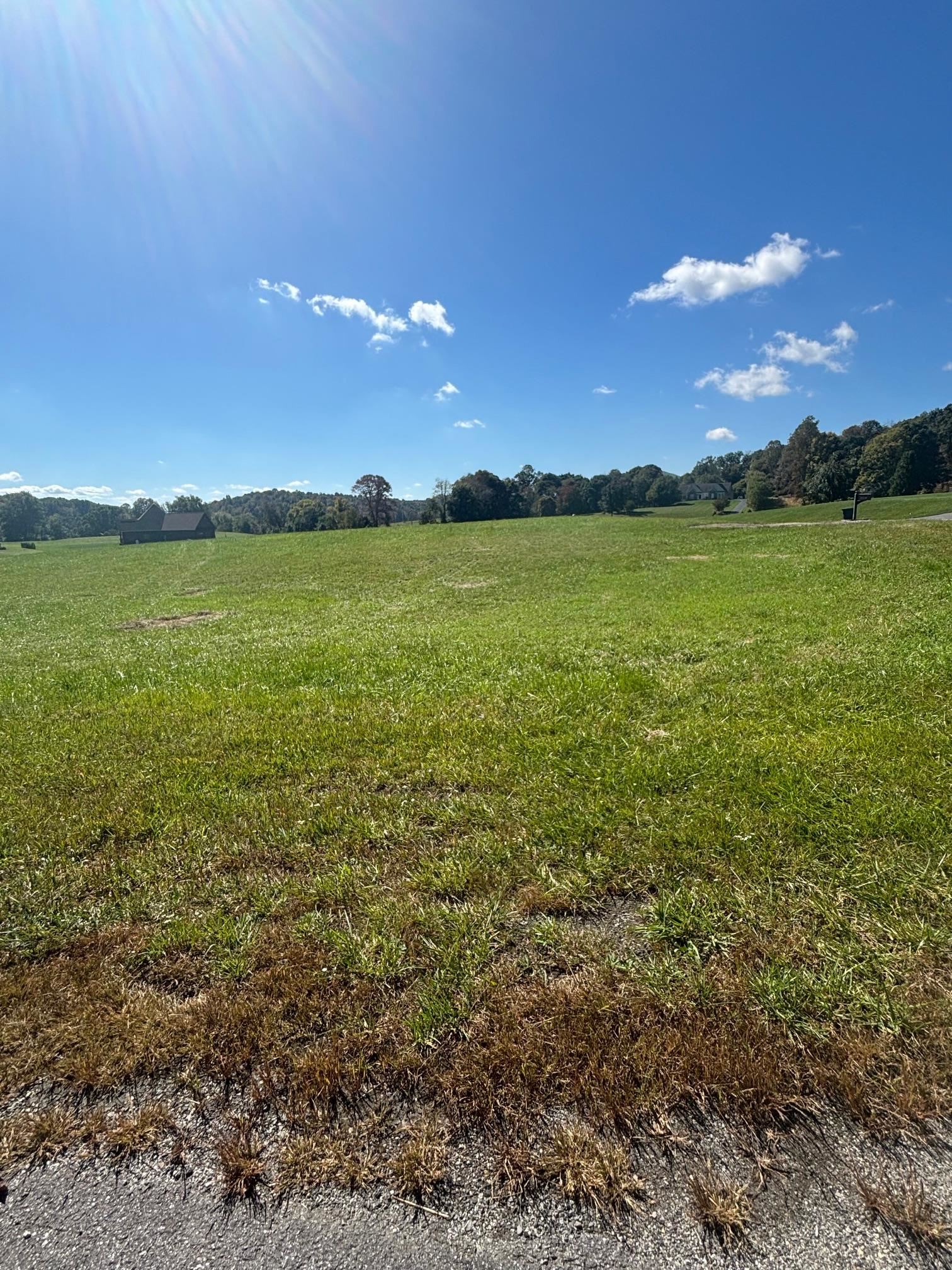 Tbd Atwoods Drive Draper VA 24324