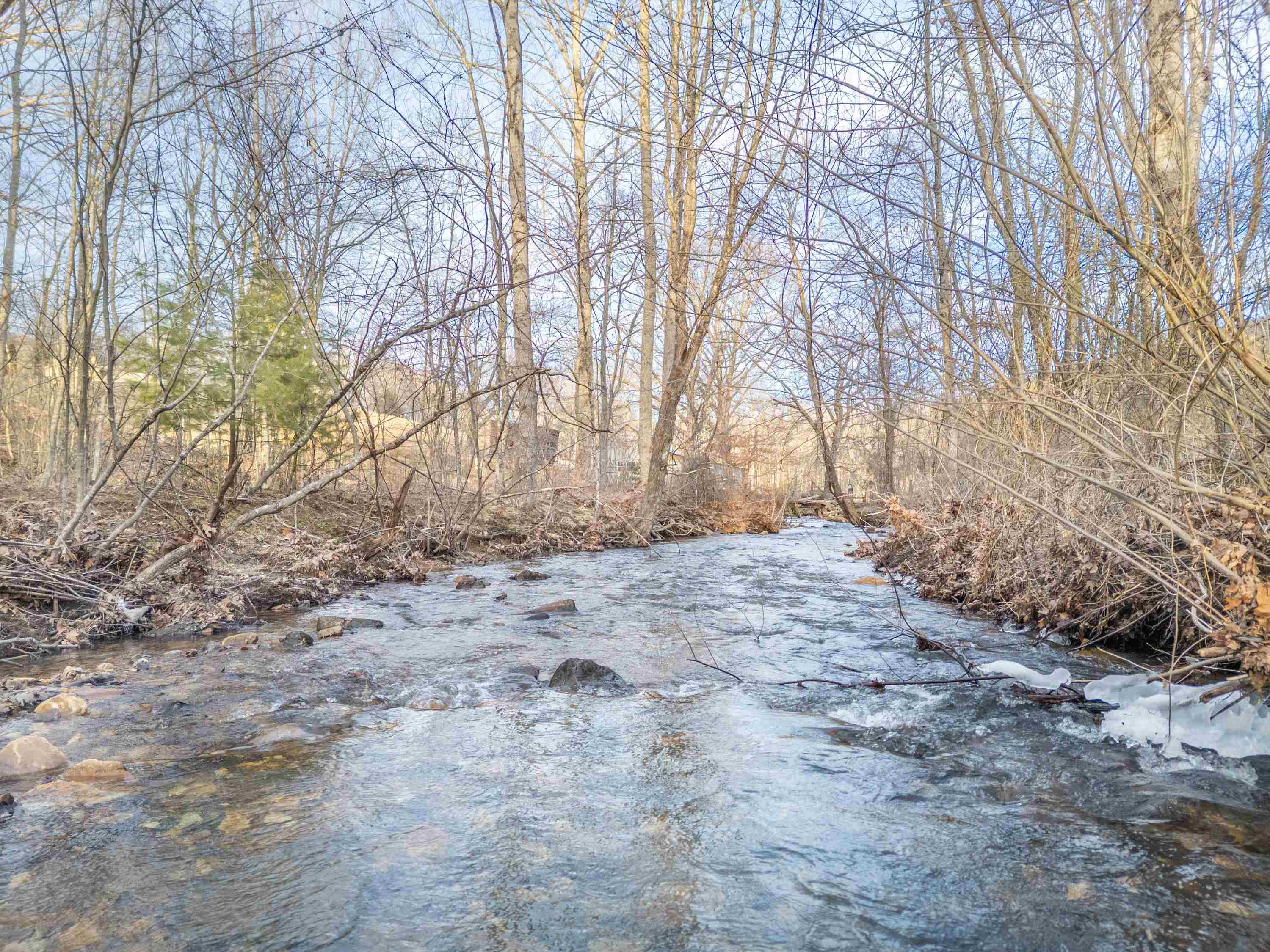 Tbd Laurel Fork Road Rocky Gap VA 24366