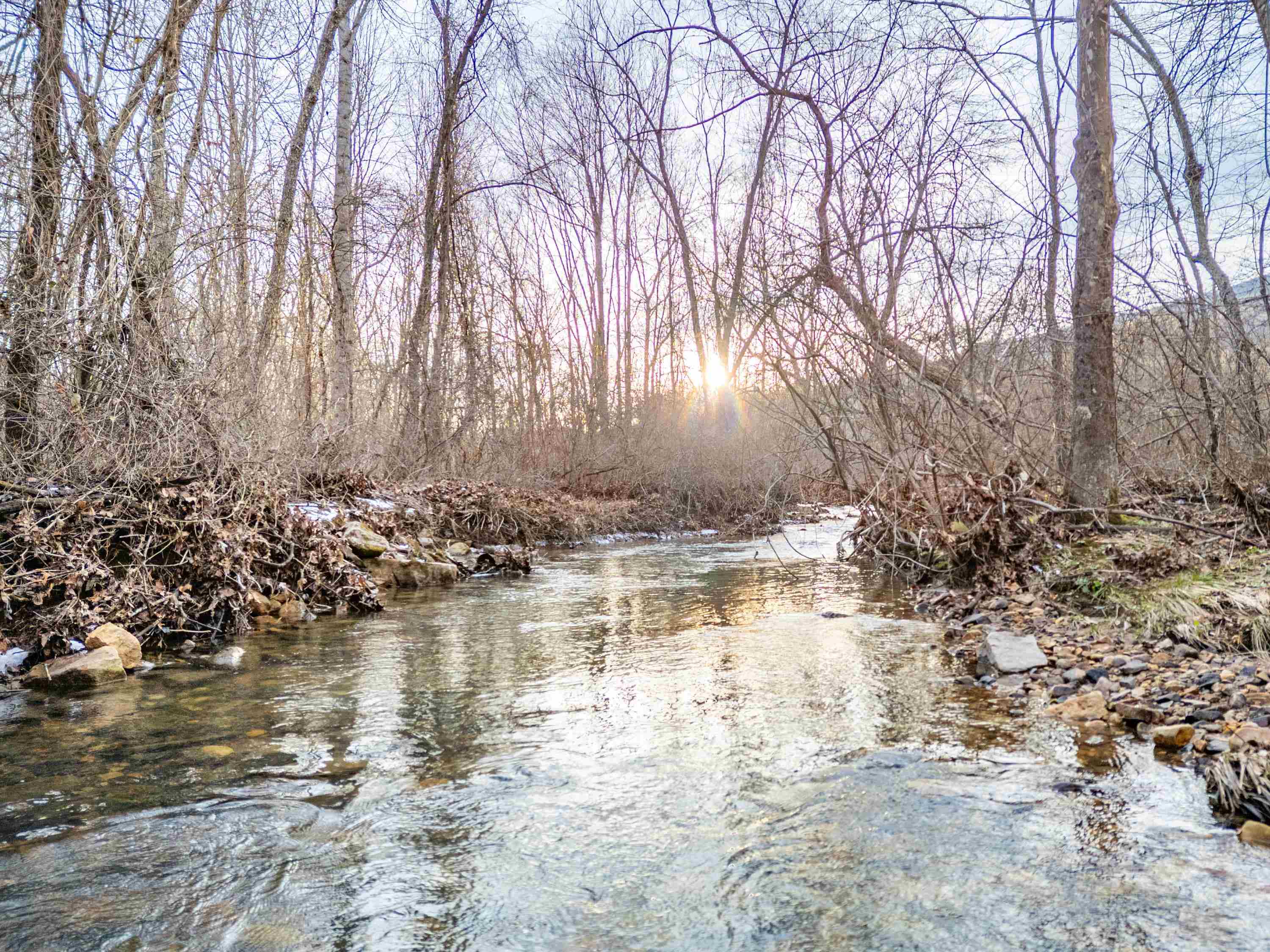 Tbd Laurel Fork Road Rocky Gap VA 24366