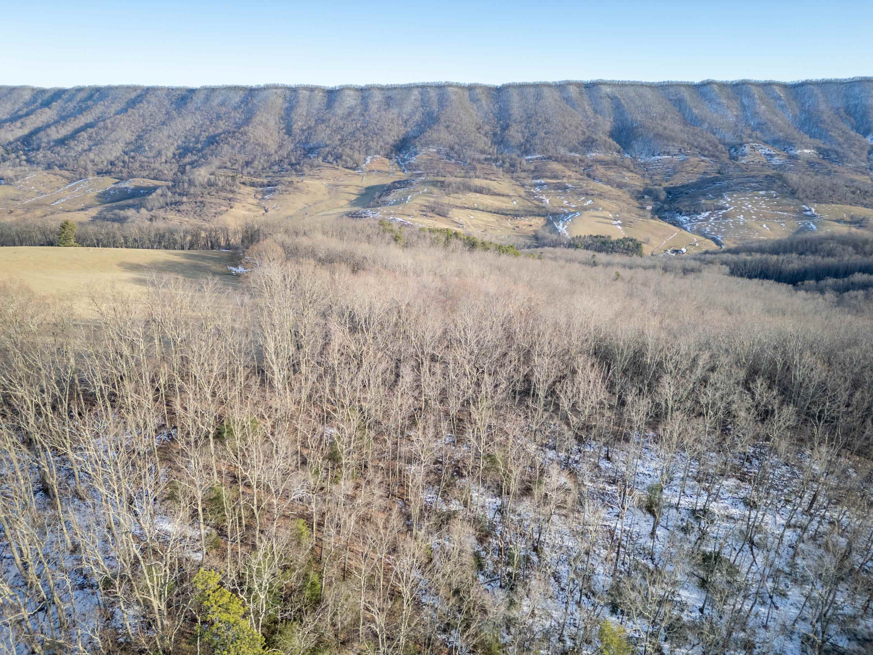 Tbd Laurel Fork Road Rocky Gap VA 24366