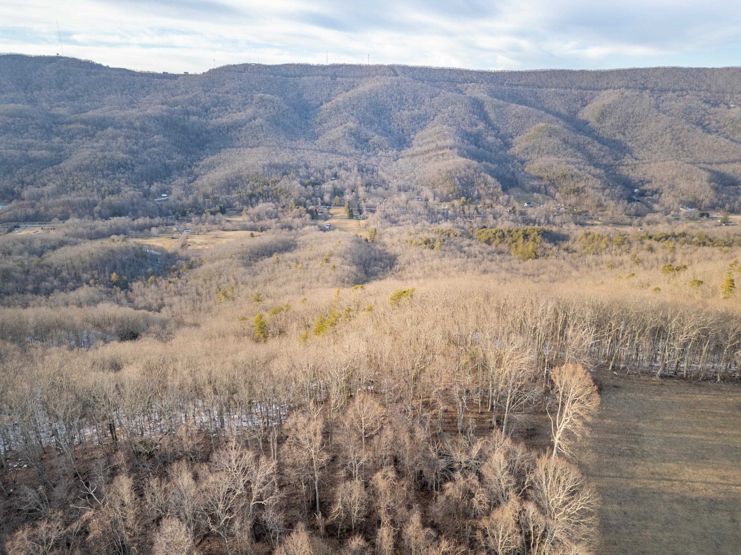 Tbd Laurel Fork Road Rocky Gap VA 24366