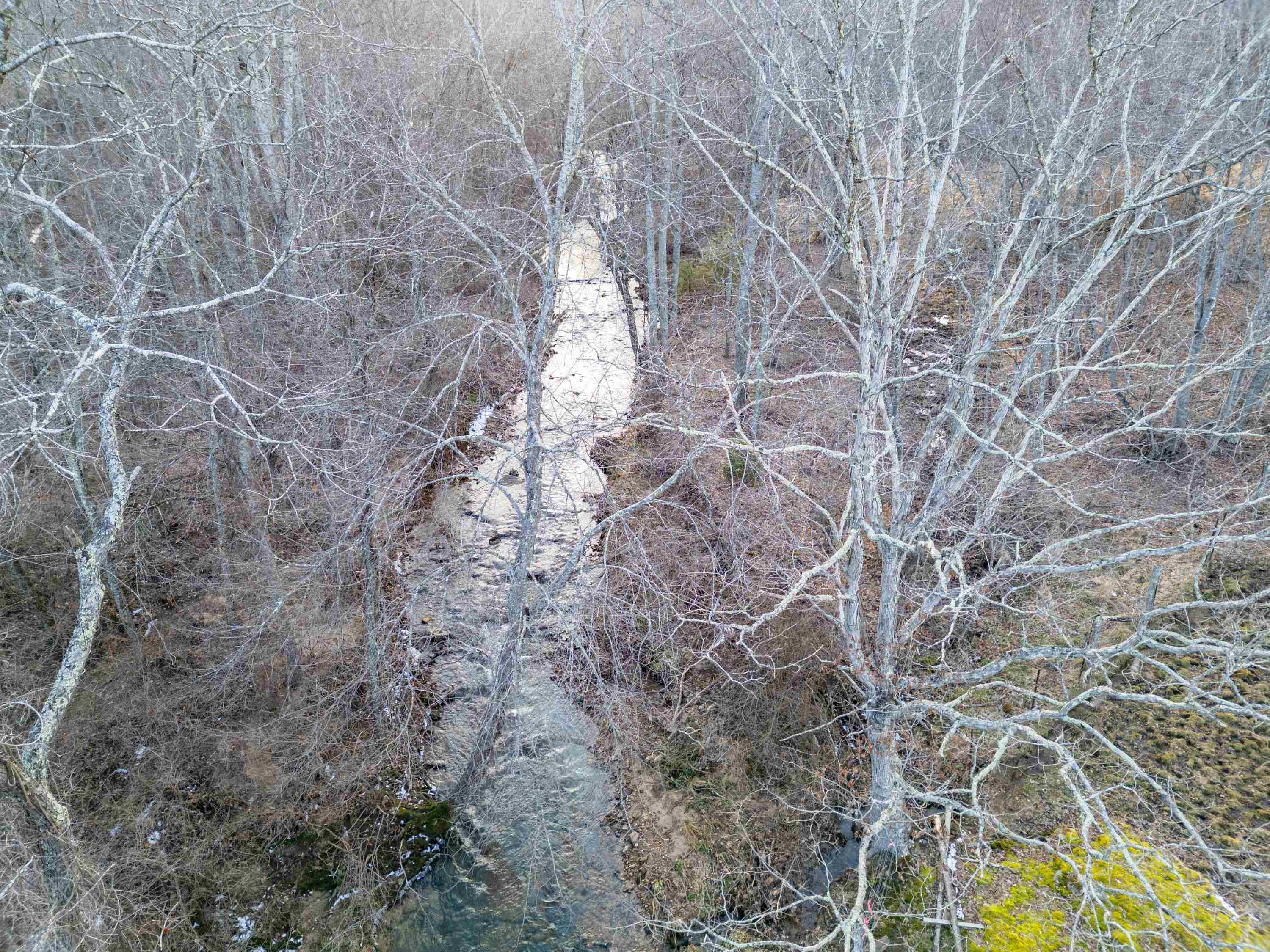 Tbd Laurel Fork Road Rocky Gap VA 24366