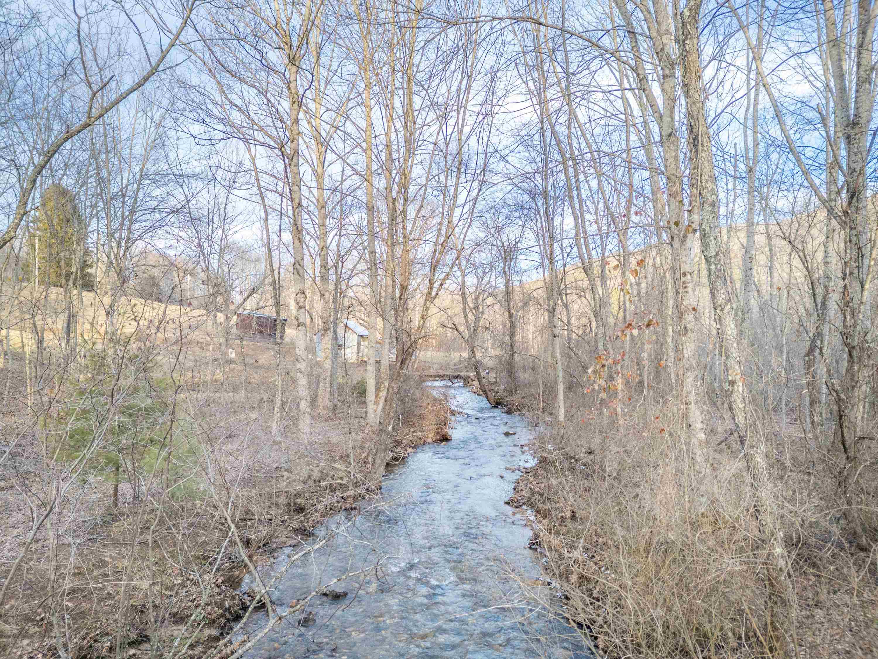 Tbd Laurel Fork Road Rocky Gap VA 24366