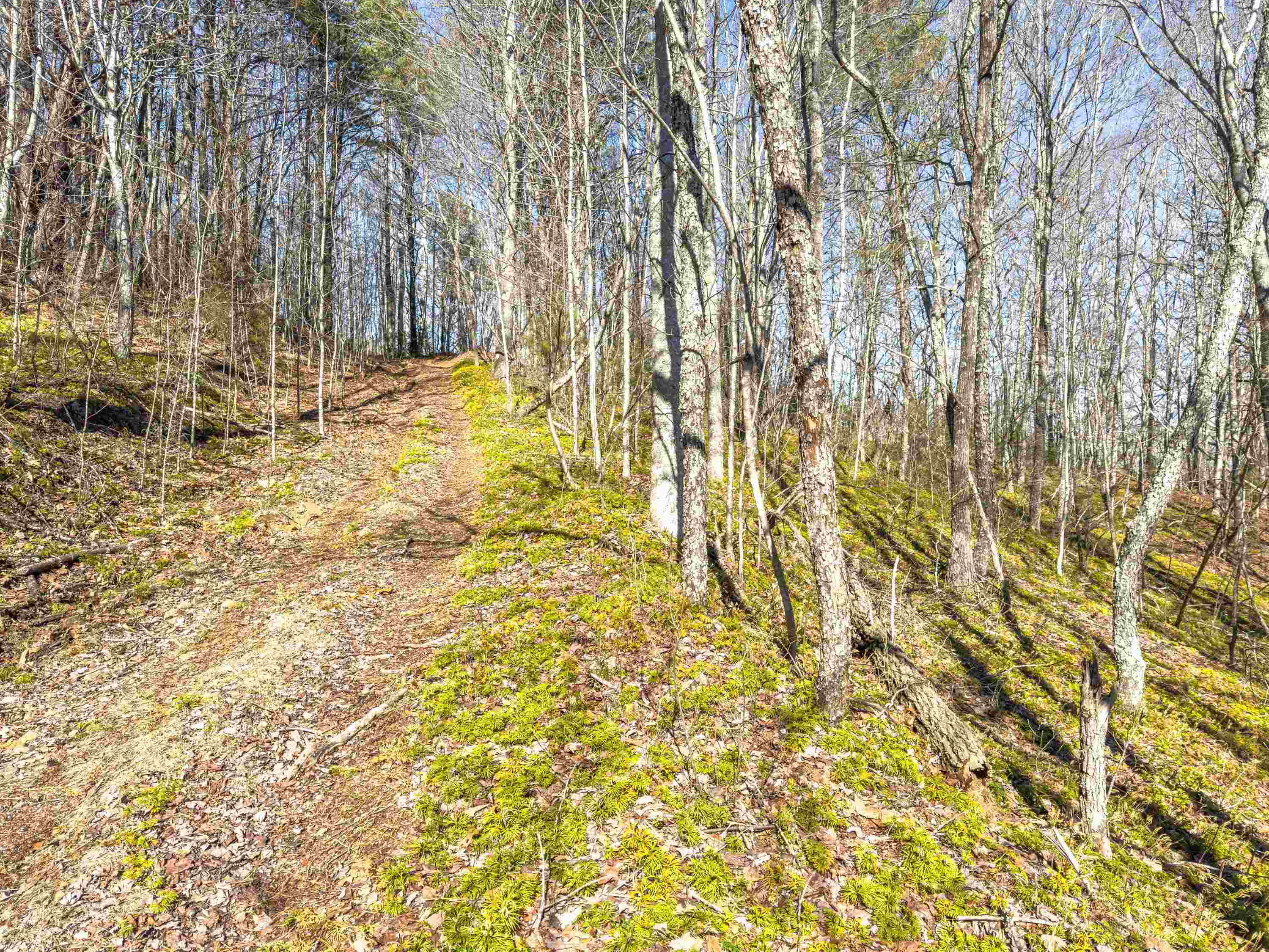 Tbd Laurel Fork Road Rocky Gap VA 24366