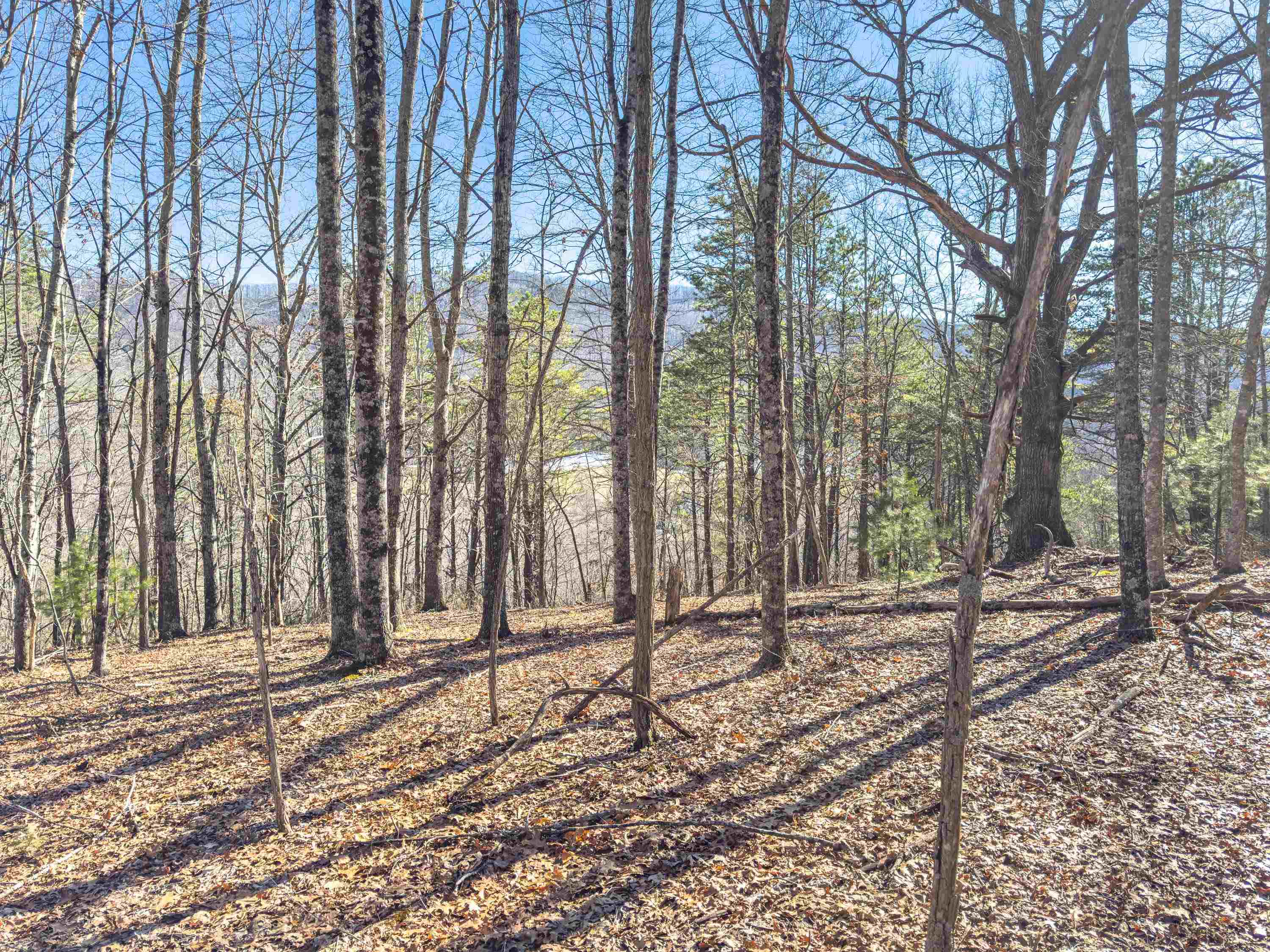 Tbd Laurel Fork Road Rocky Gap VA 24366