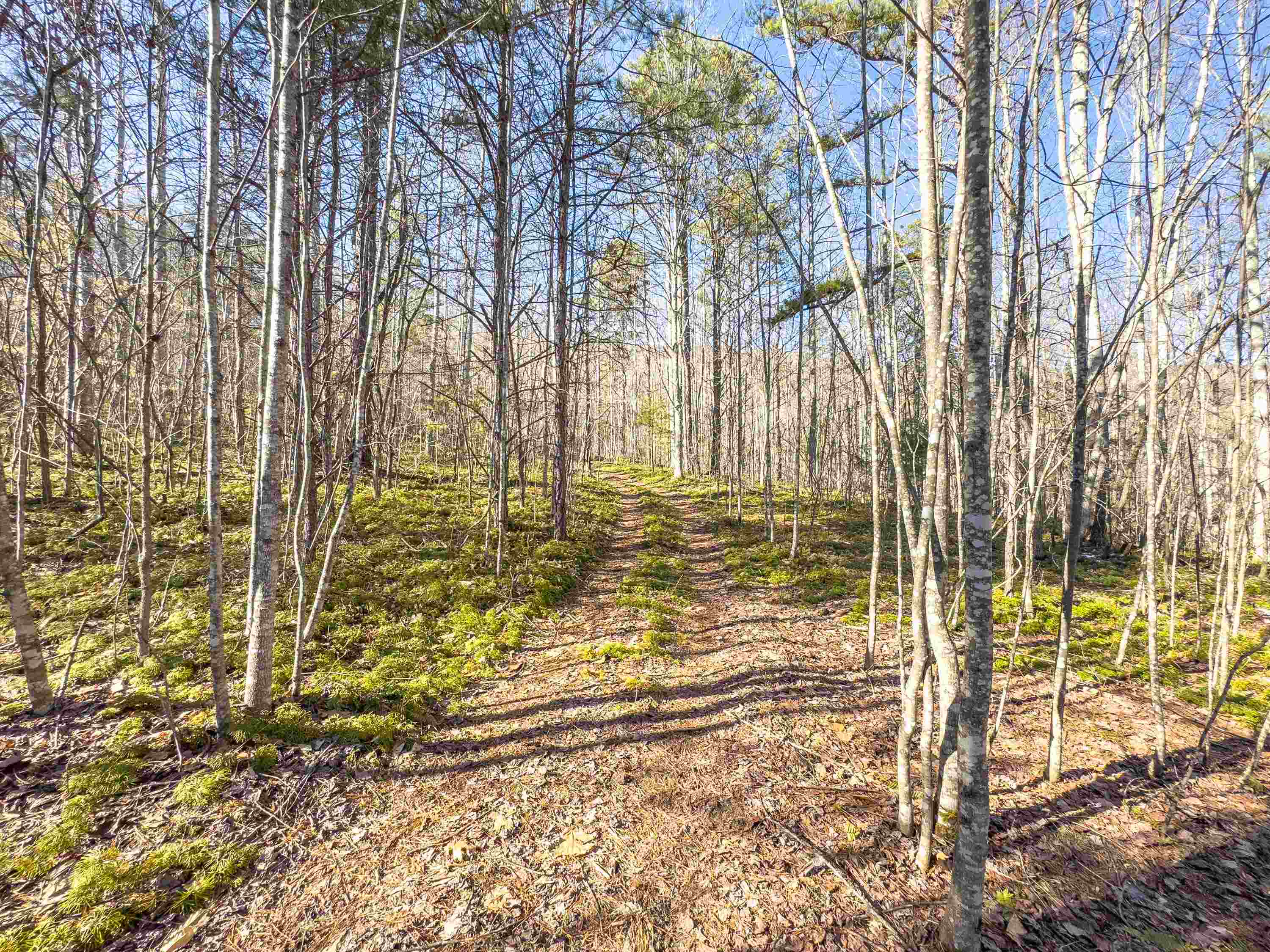 Tbd Laurel Fork Road Rocky Gap VA 24366