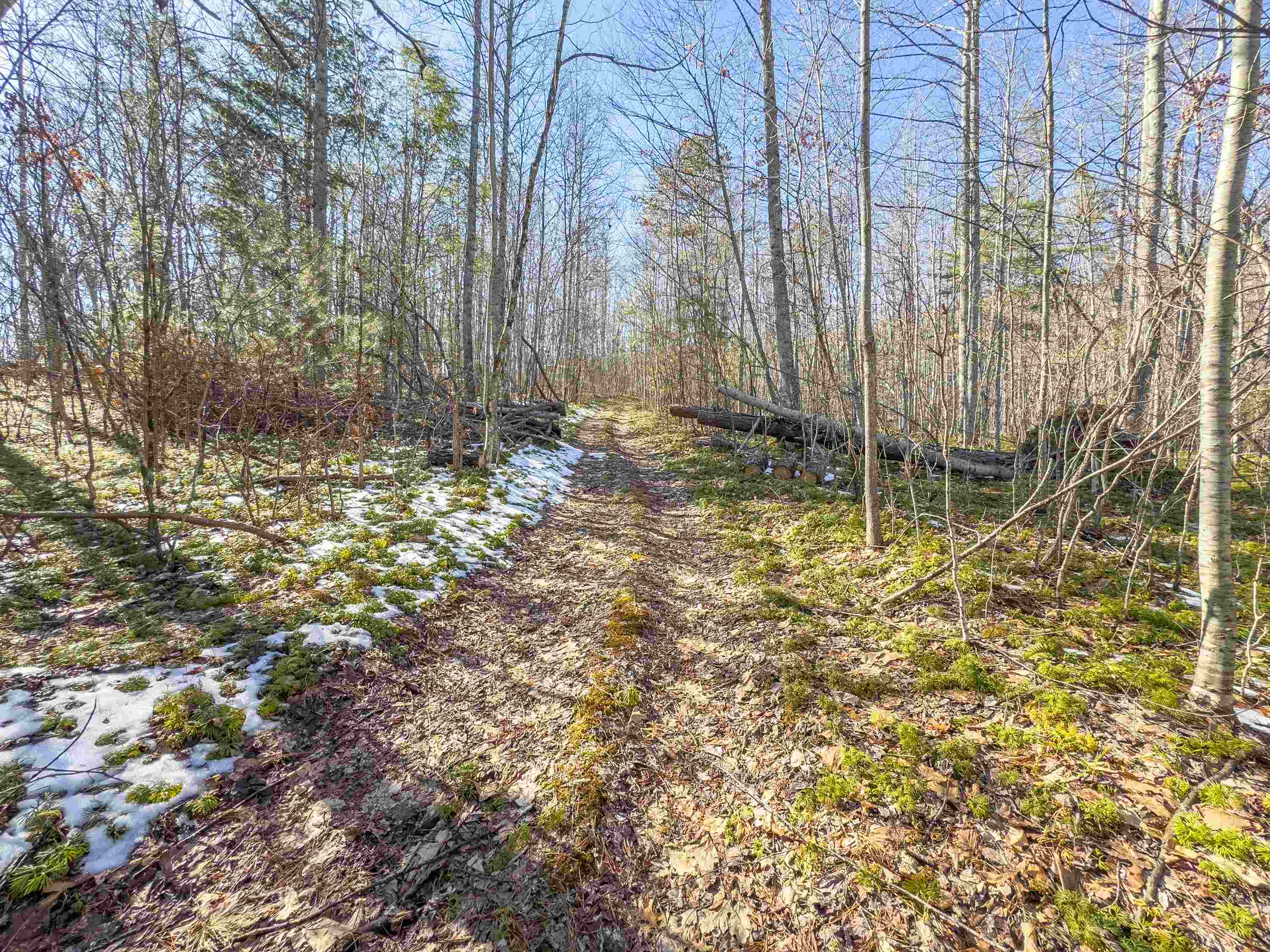 Tbd Laurel Fork Road Rocky Gap VA 24366