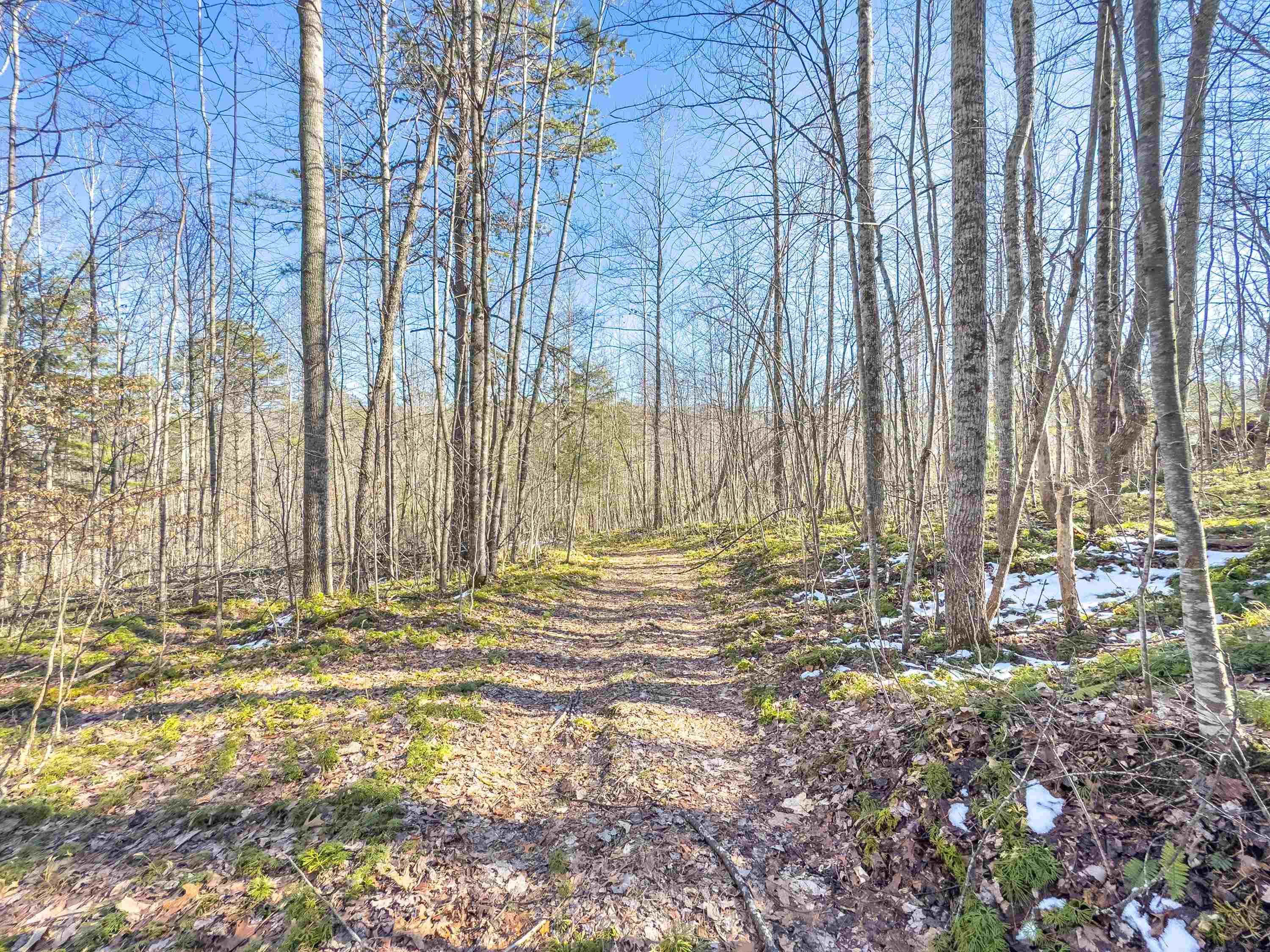 Tbd Laurel Fork Road Rocky Gap VA 24366