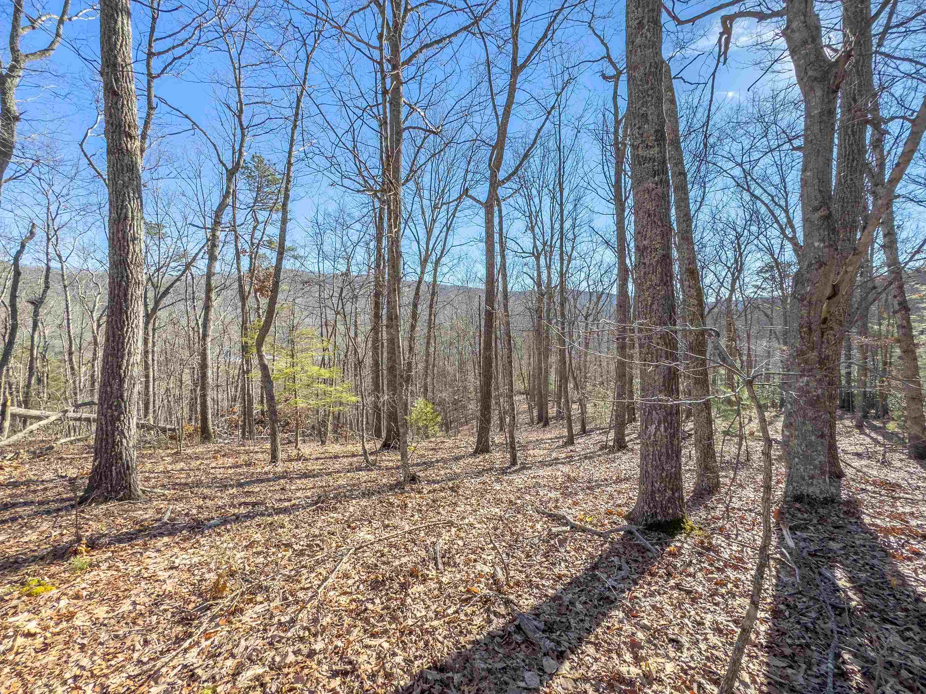 Tbd Laurel Fork Road Rocky Gap VA 24366