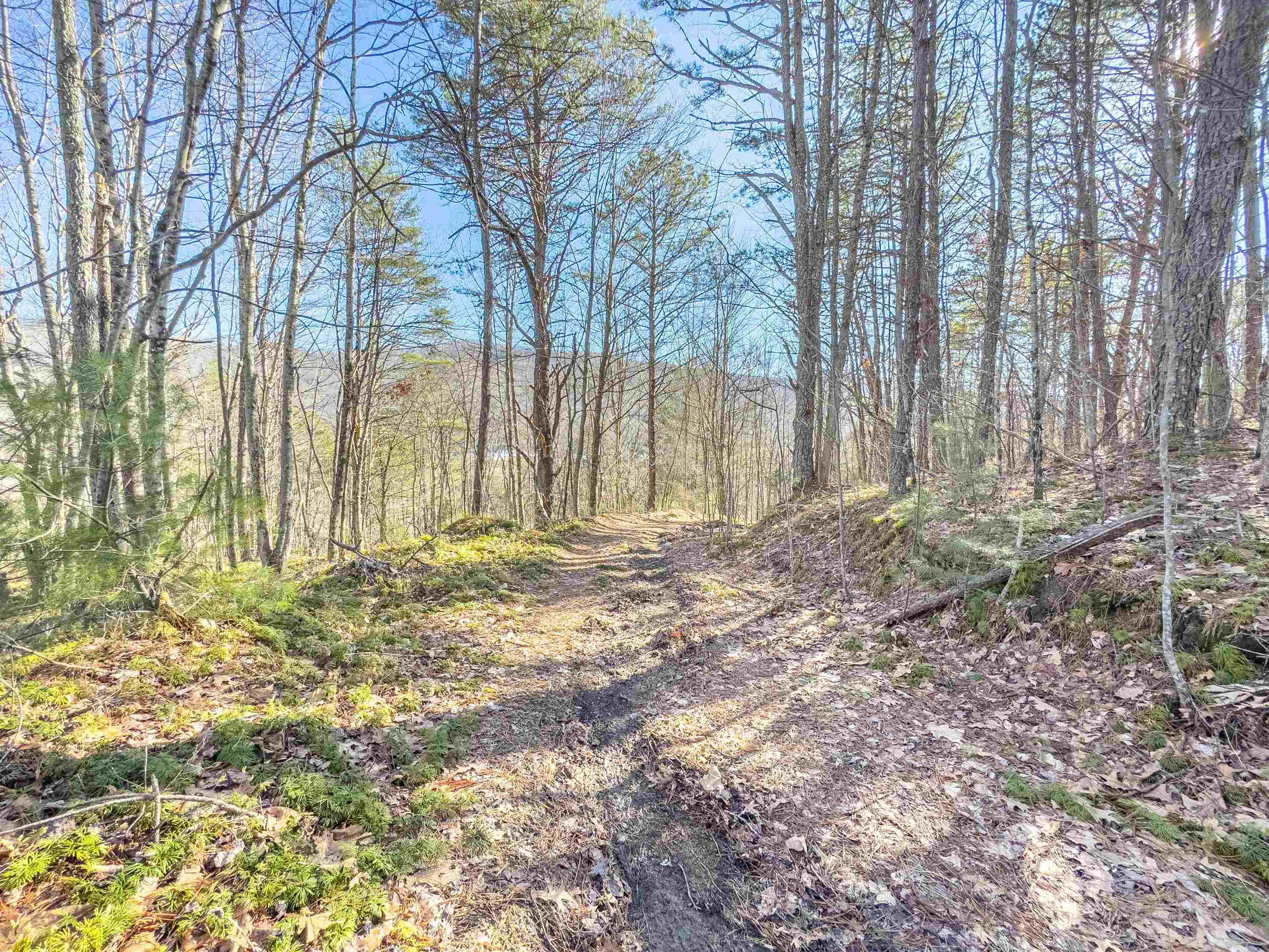 Tbd Laurel Fork Road Rocky Gap VA 24366