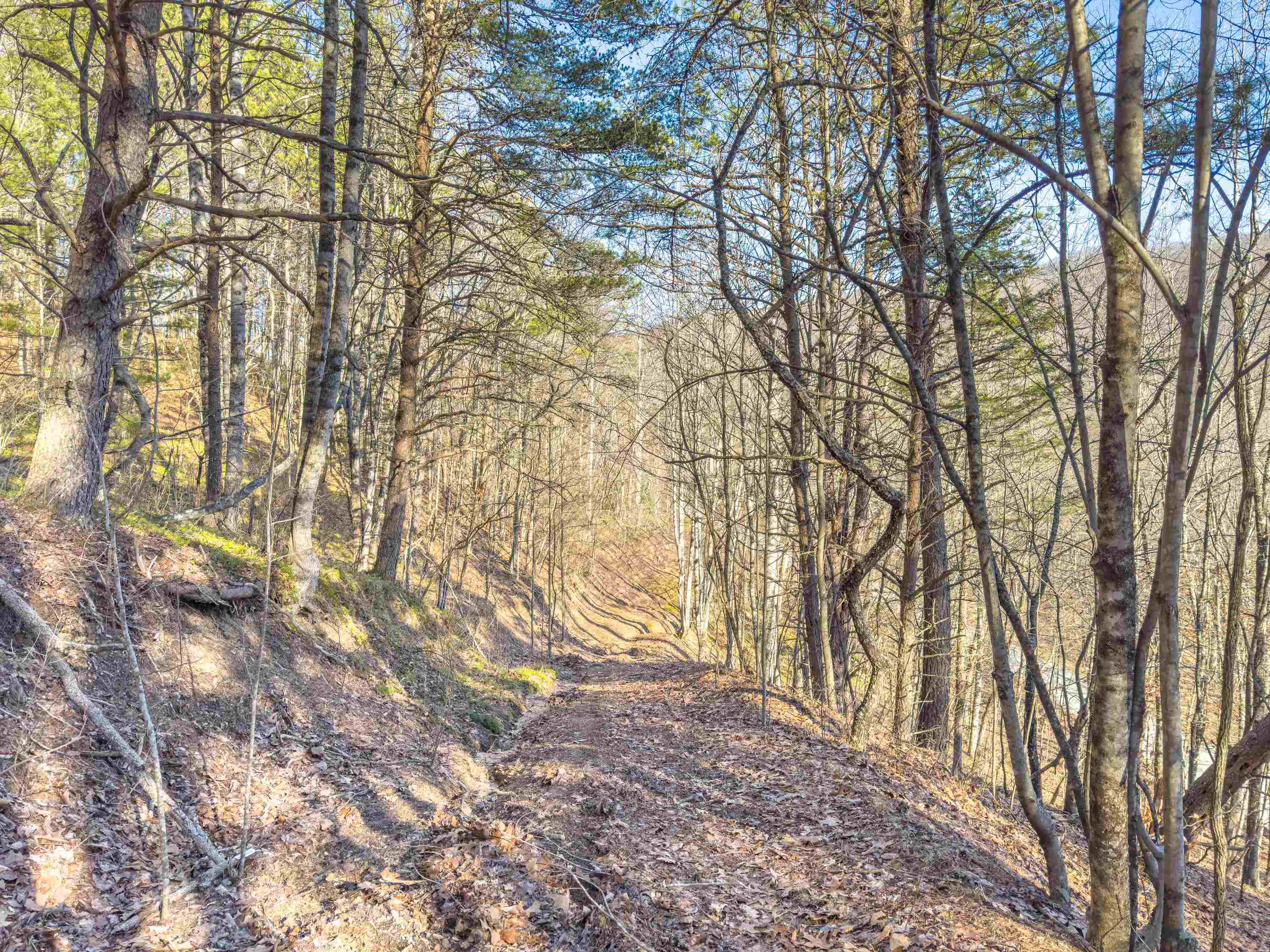 Tbd Laurel Fork Road Rocky Gap VA 24366