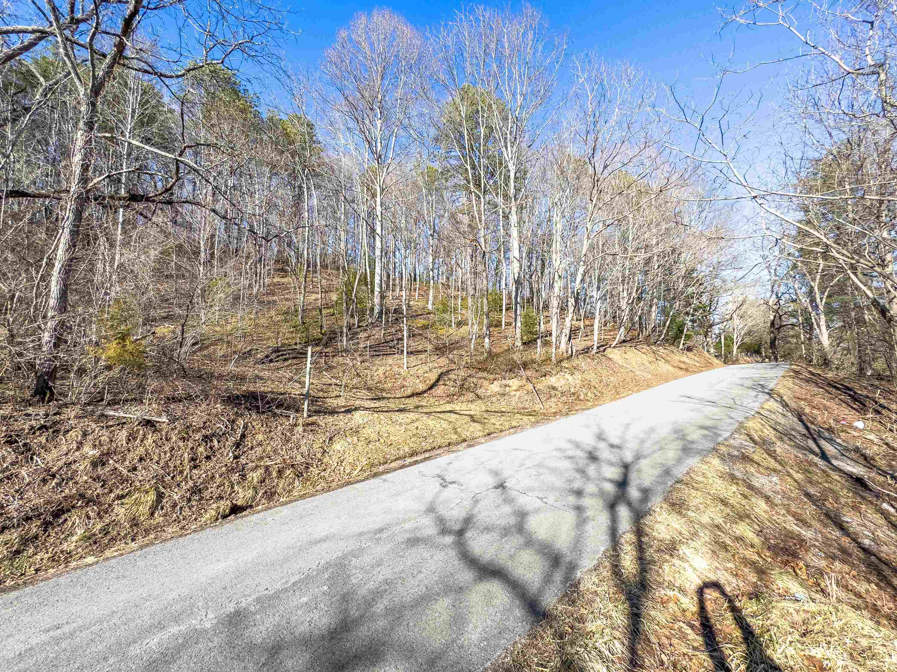 Tbd Laurel Fork Road Rocky Gap VA 24366