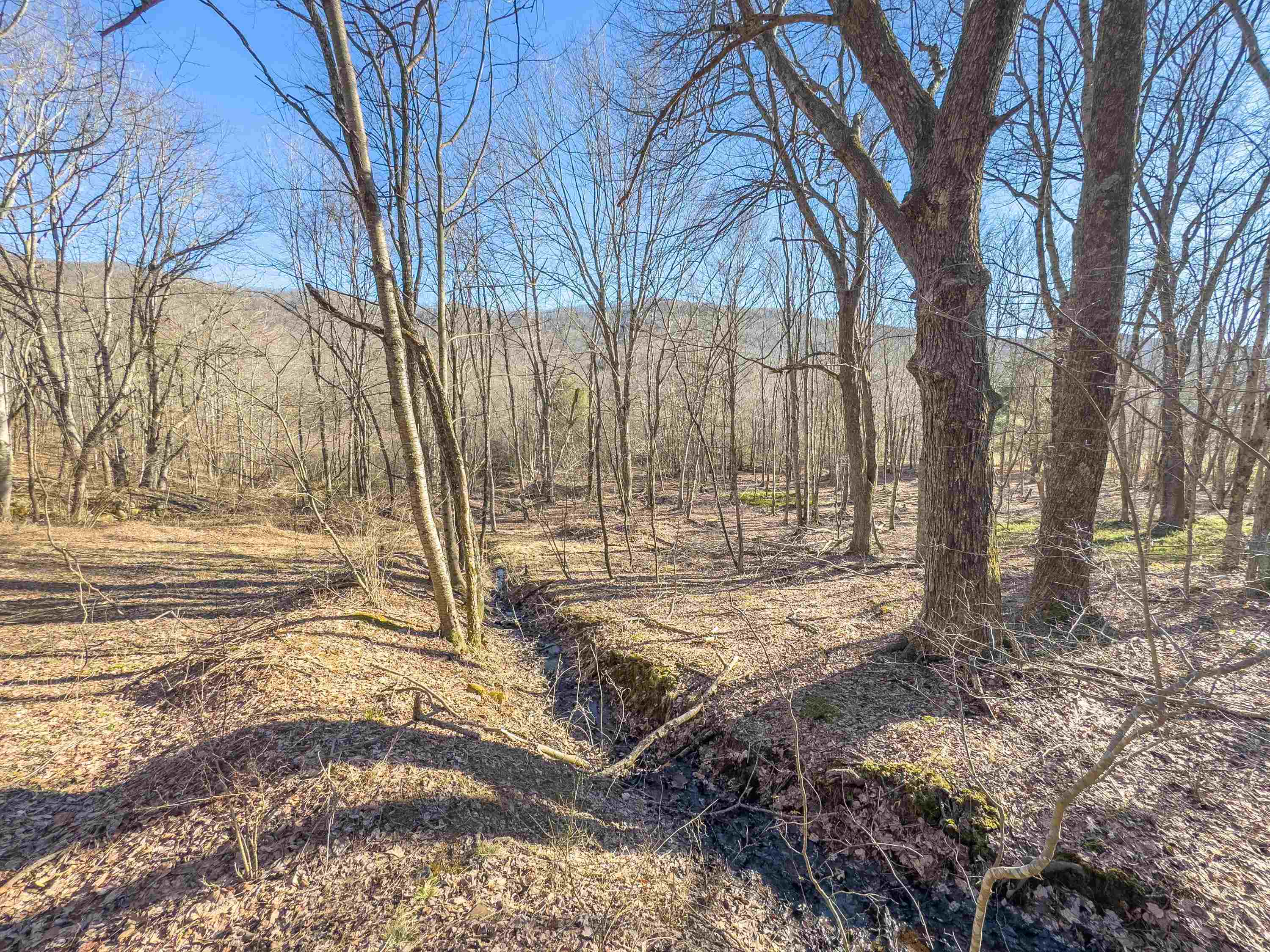 Tbd Laurel Fork Road Rocky Gap VA 24366