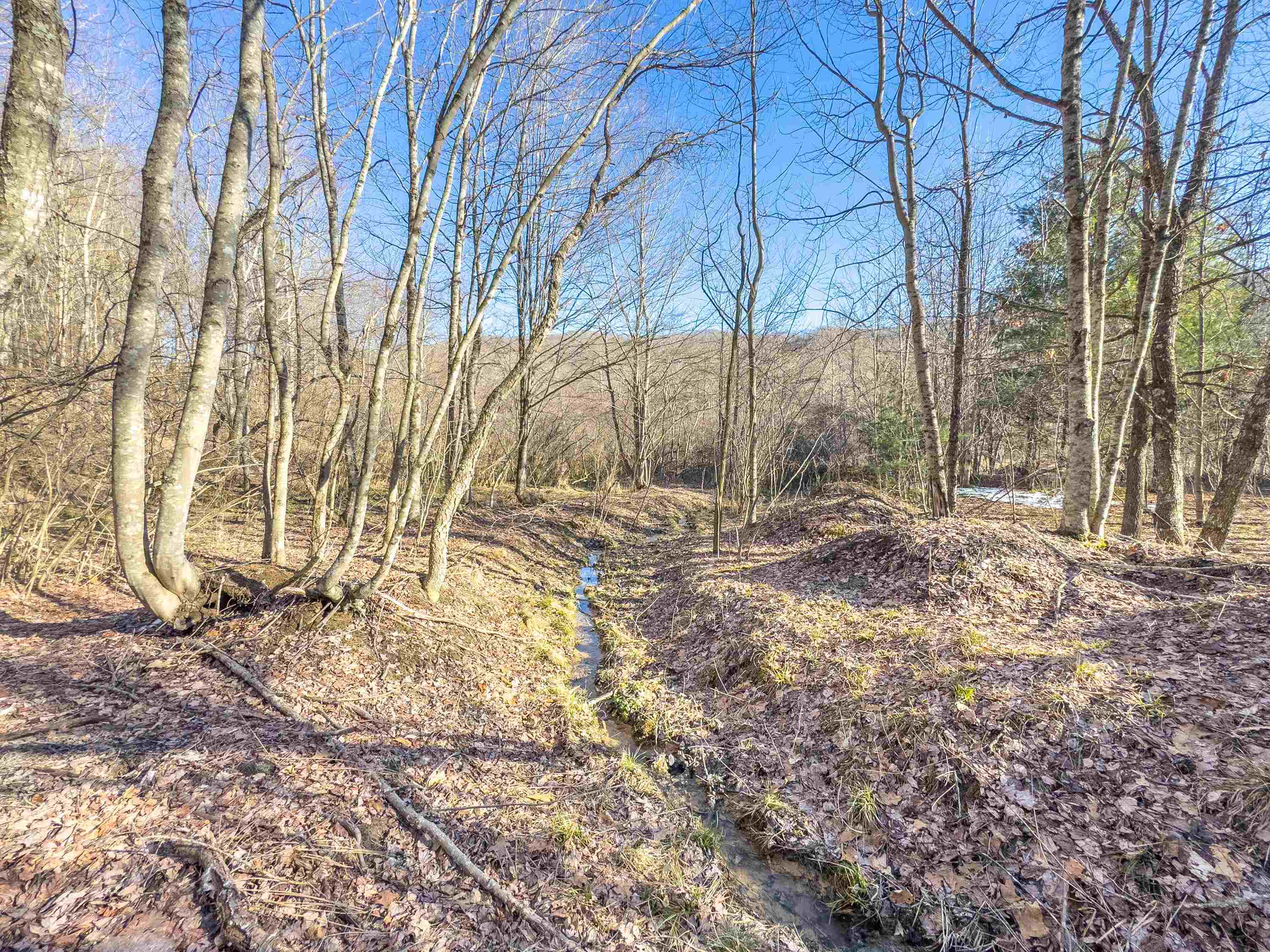 Tbd Laurel Fork Road Rocky Gap VA 24366