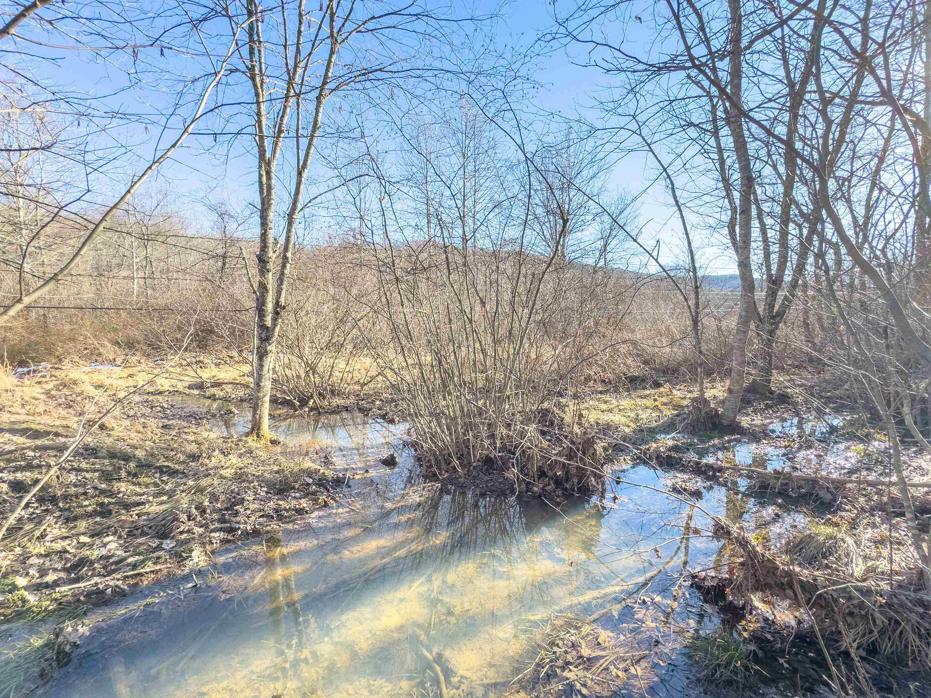 Tbd Laurel Fork Road Rocky Gap VA 24366