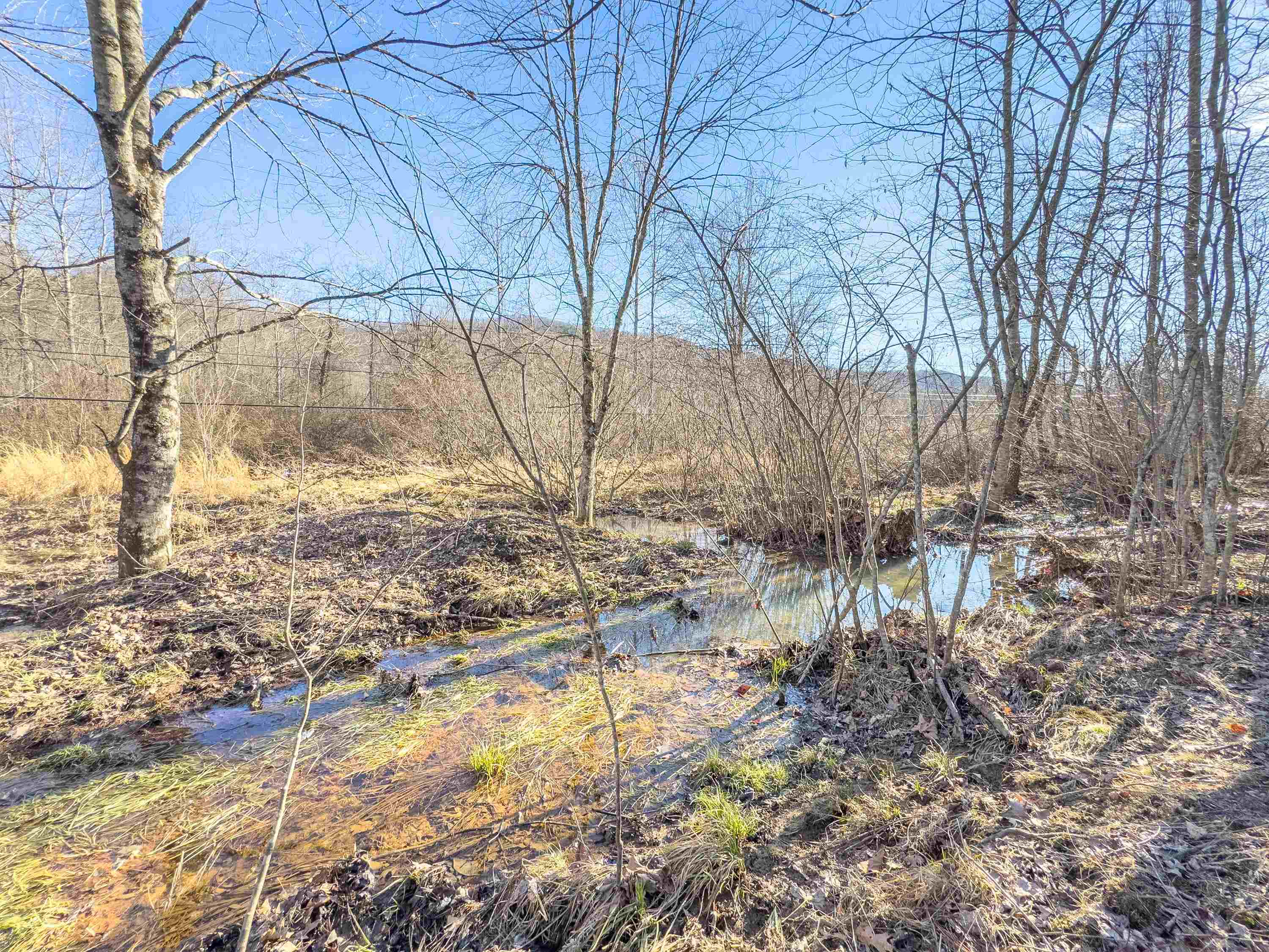 Tbd Laurel Fork Road Rocky Gap VA 24366