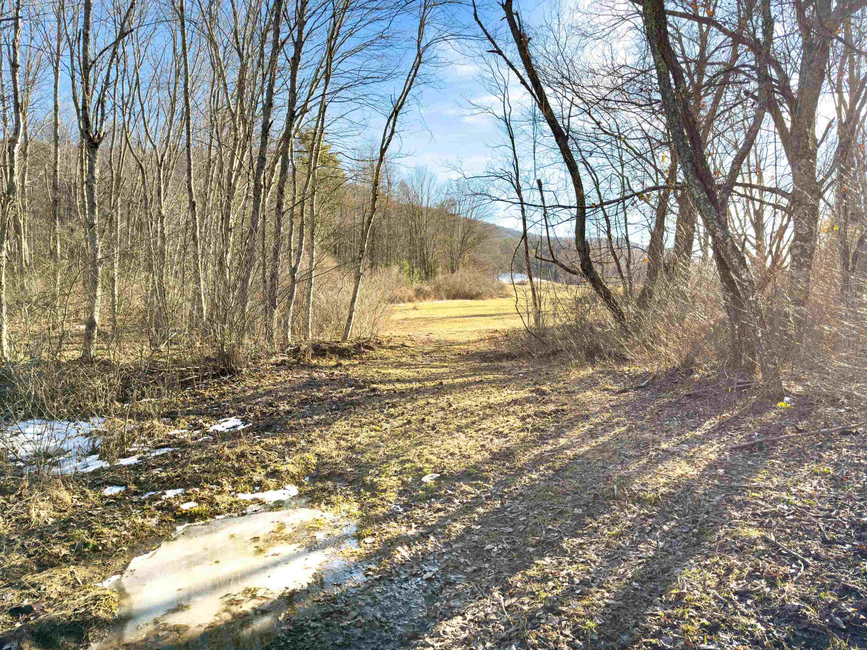 Tbd Laurel Fork Road Rocky Gap VA 24366