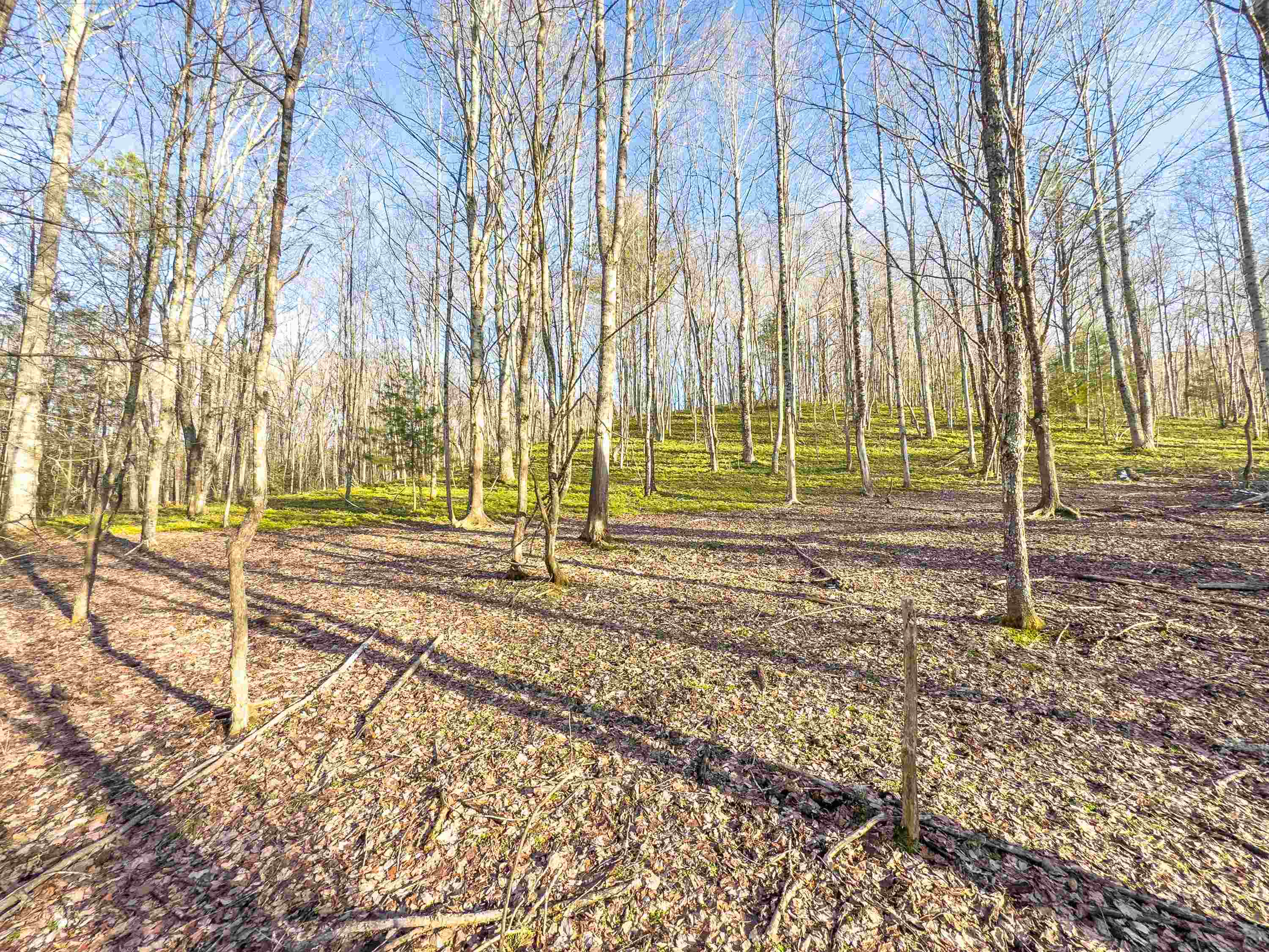 Tbd Laurel Fork Road Rocky Gap VA 24366