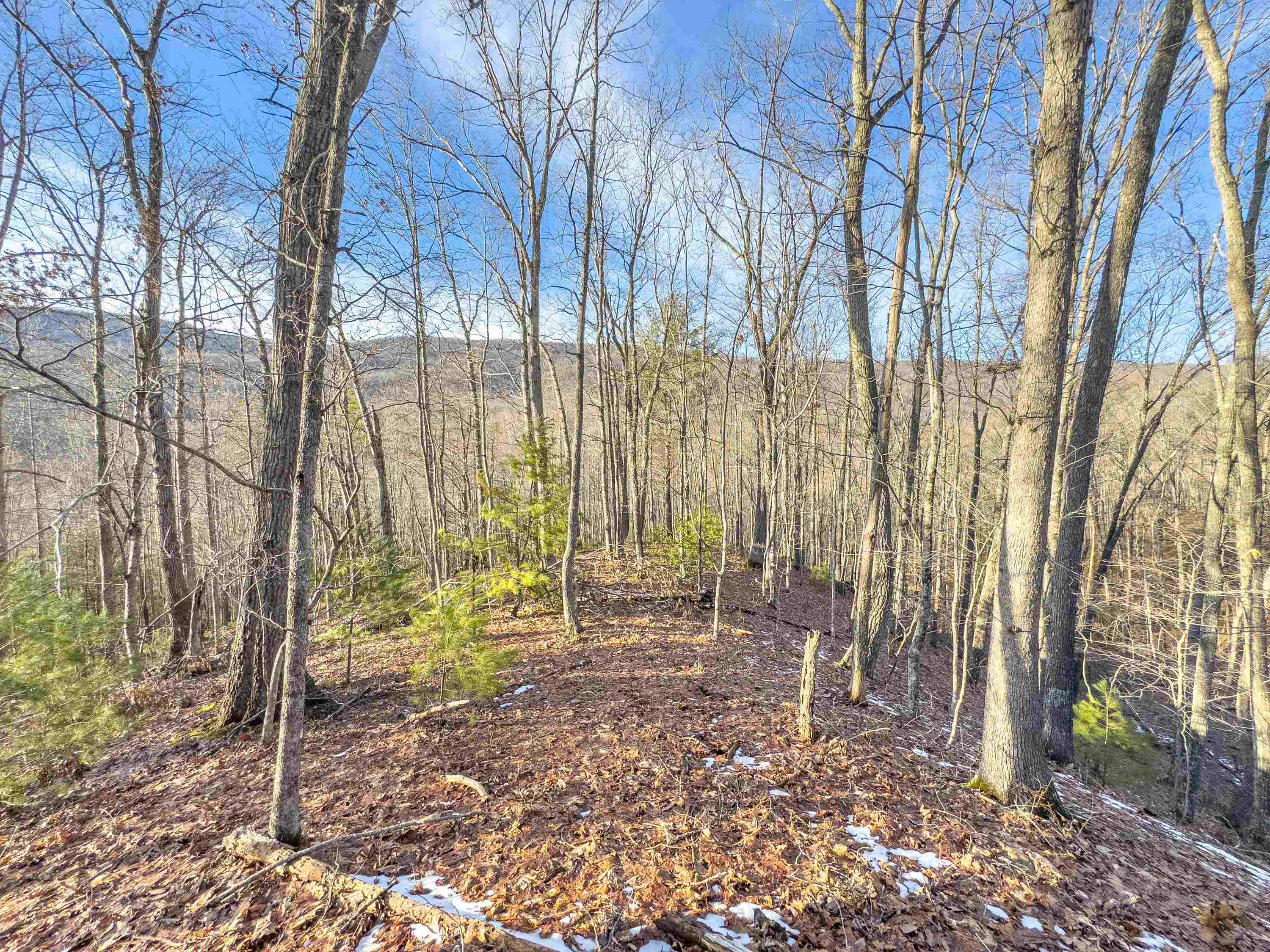 Tbd Laurel Fork Road Rocky Gap VA 24366