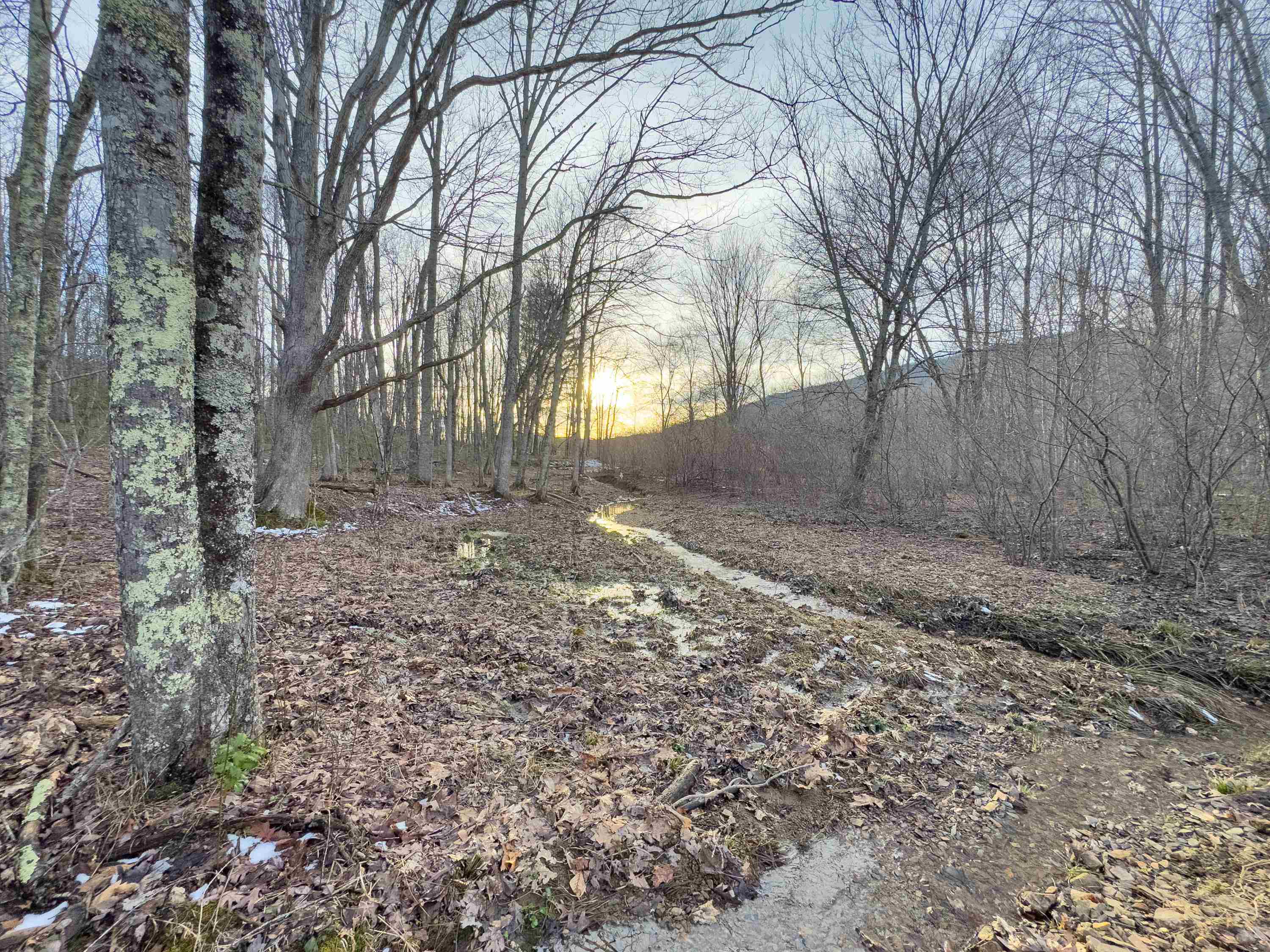 Tbd Laurel Fork Road Rocky Gap VA 24366