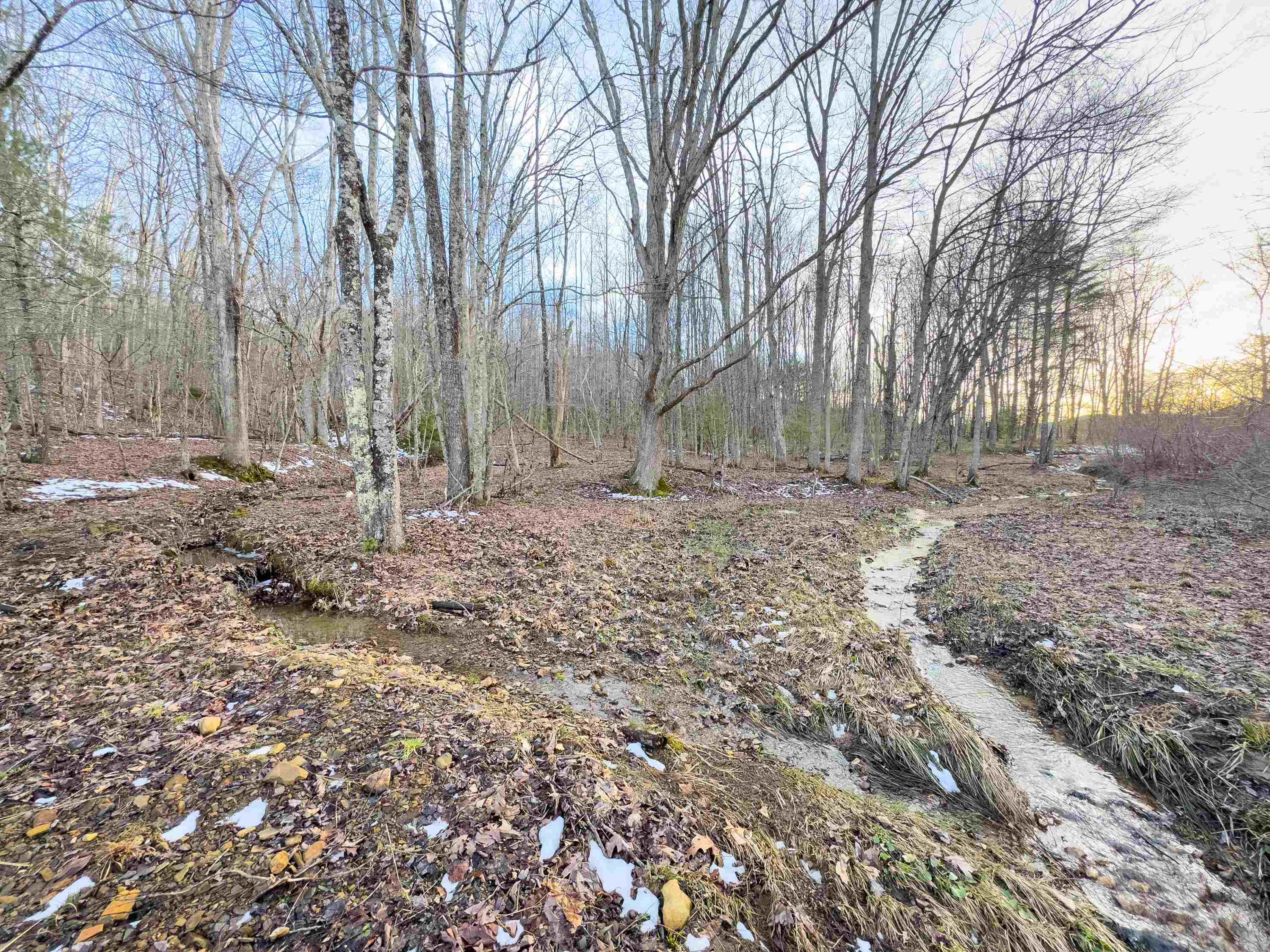 Tbd Laurel Fork Road Rocky Gap VA 24366