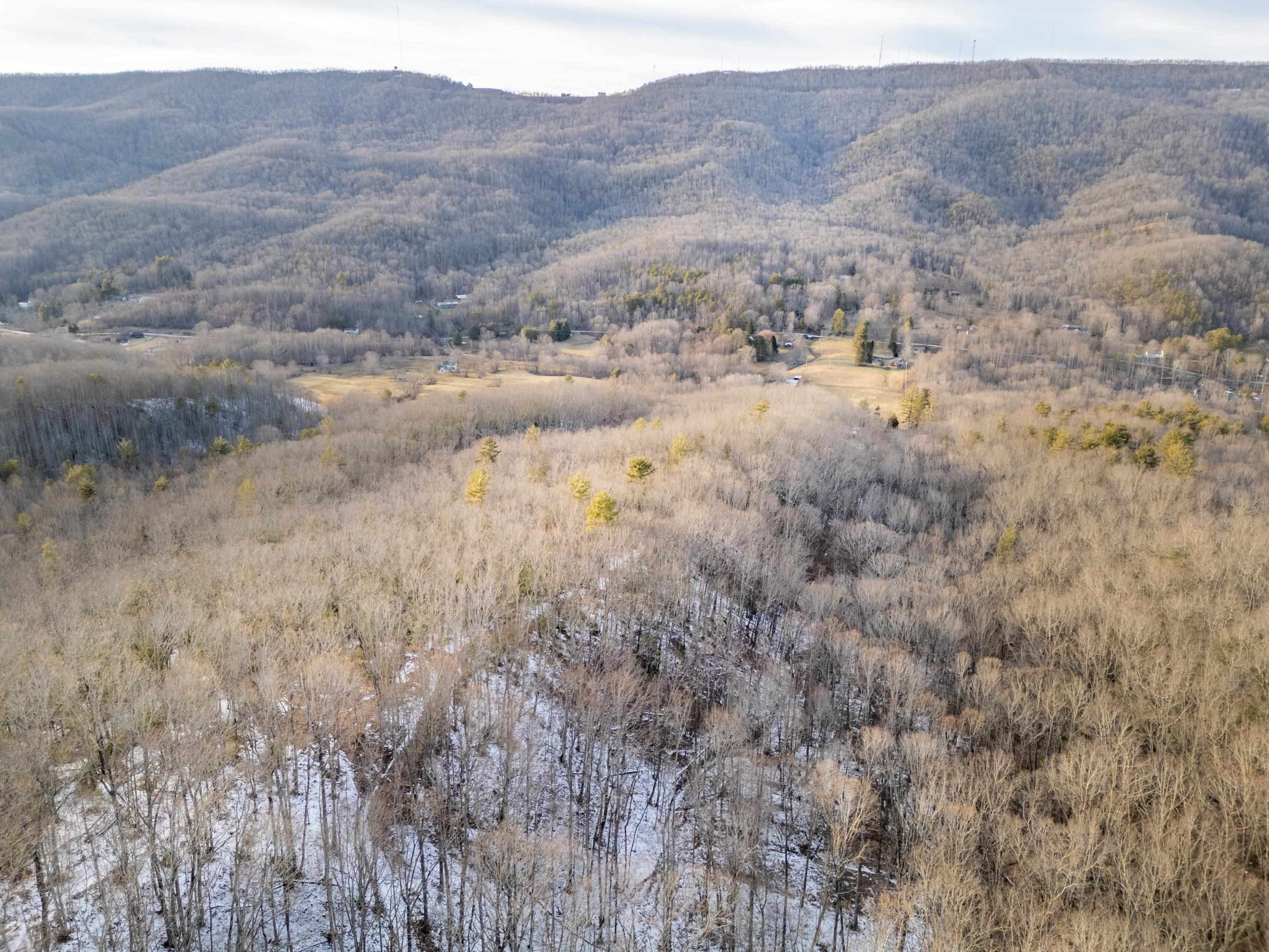 Tbd Laurel Fork Road Rocky Gap VA 24366