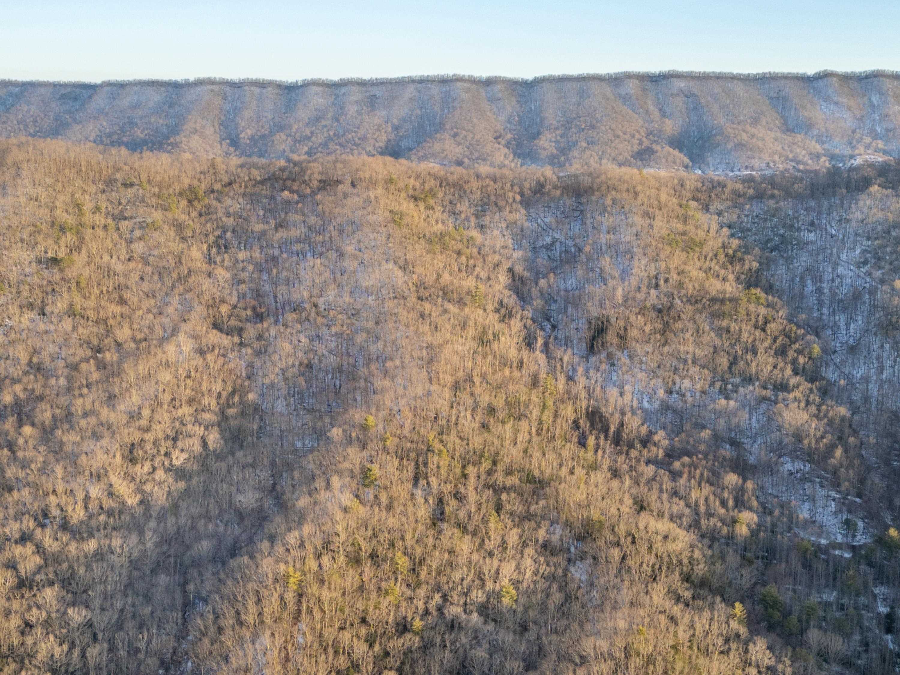Tbd Laurel Fork Road Rocky Gap VA 24366