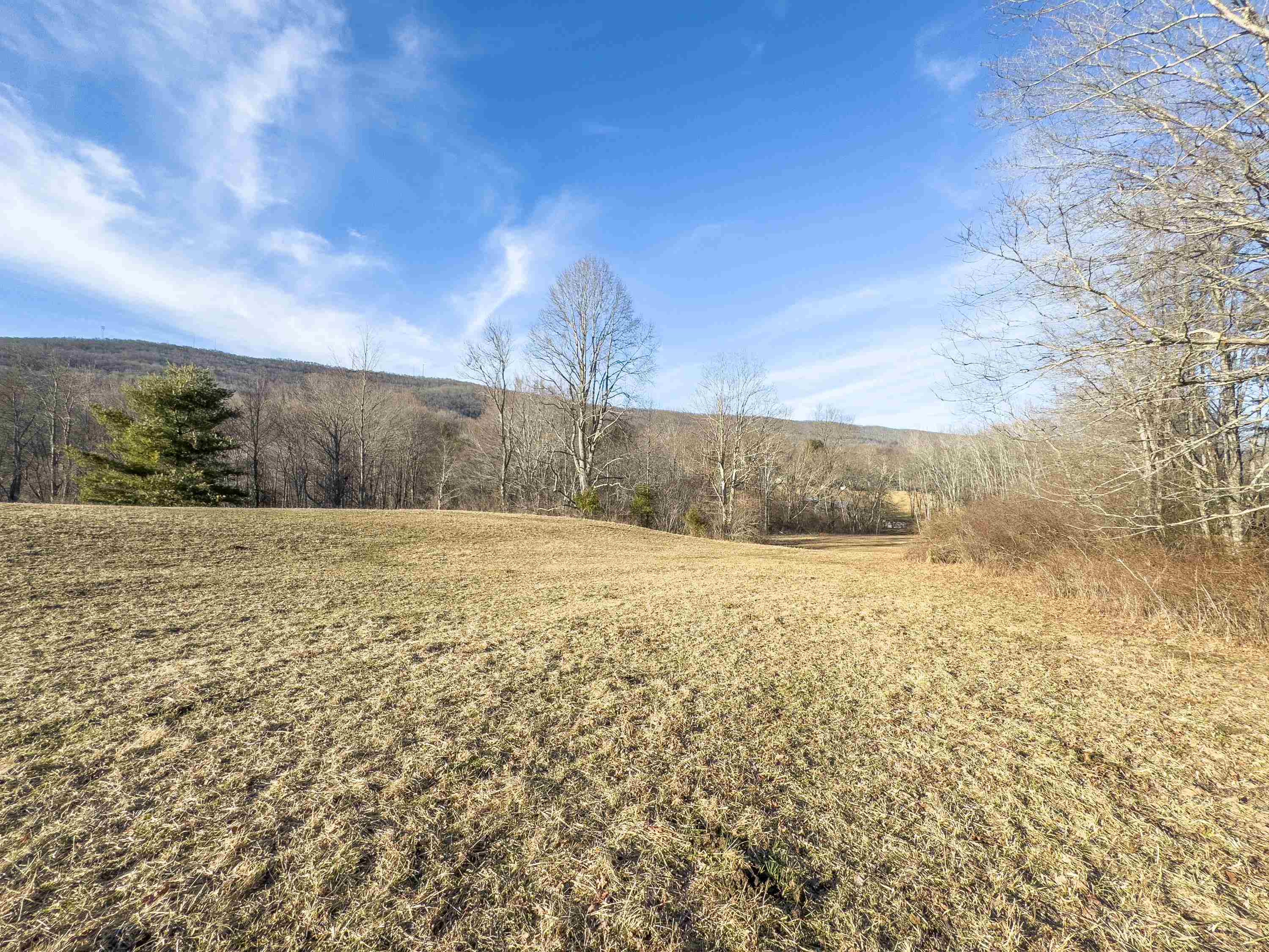 Tbd Laurel Fork Road Rocky Gap VA 24366