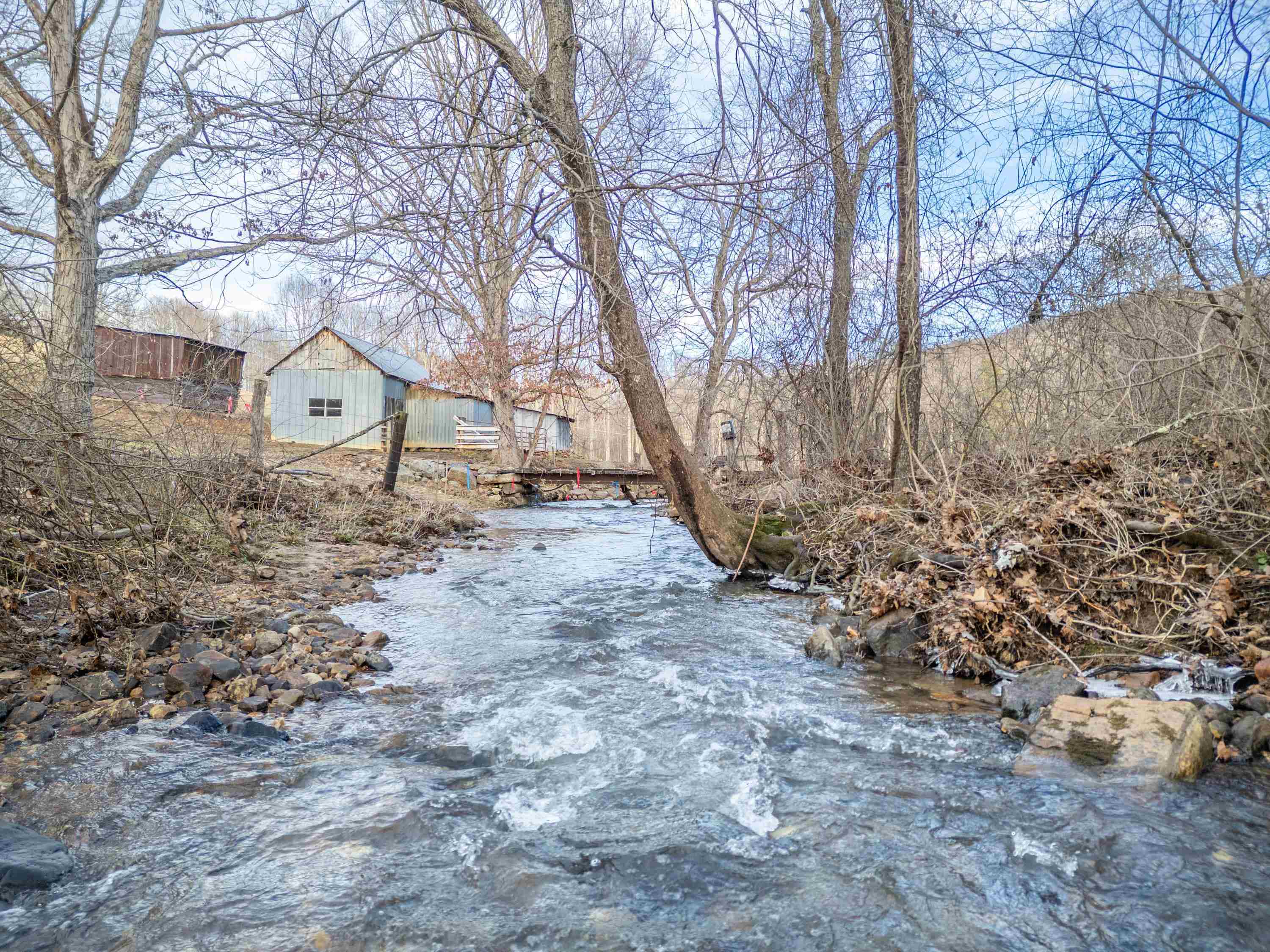 Tbd Laurel Fork Road Rocky Gap VA 24366