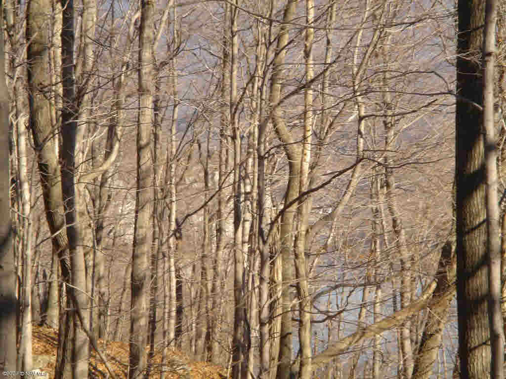 Tbd Rocky Hollow Road Pembroke VA 24136