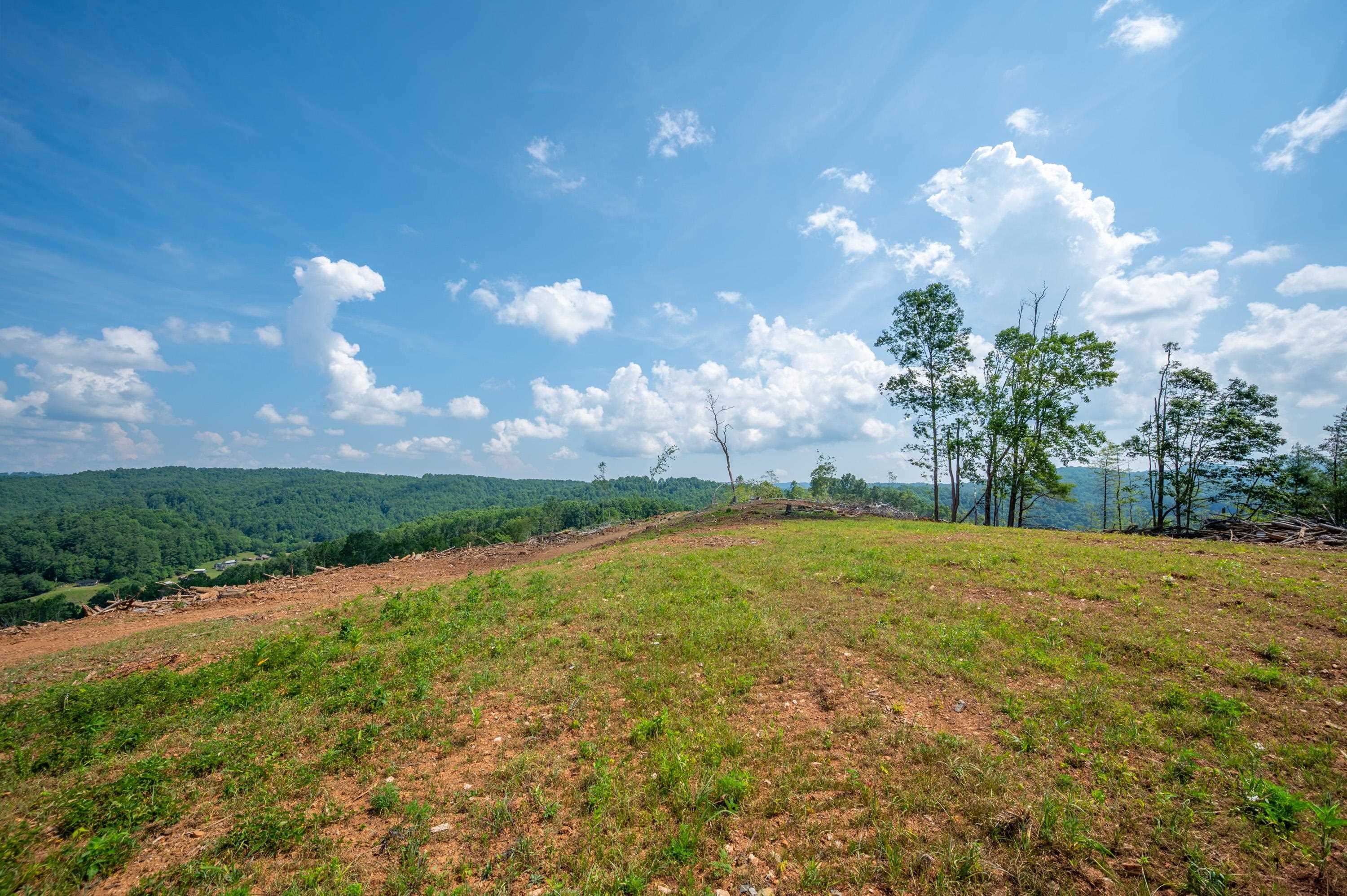 000 Fairhaven Drive Dugspur VA 24325