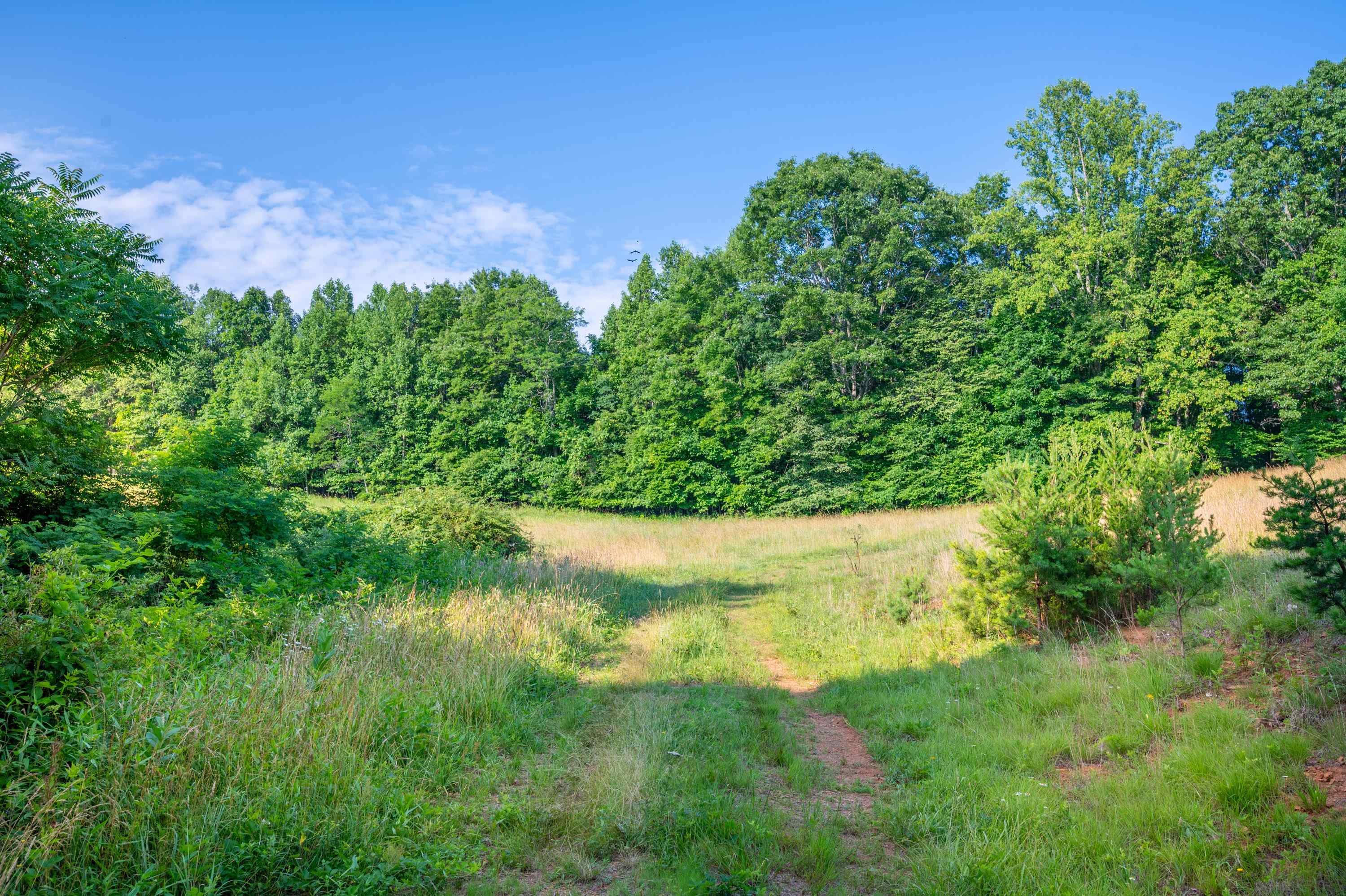 000 Fairhaven Drive Dugspur VA 24325