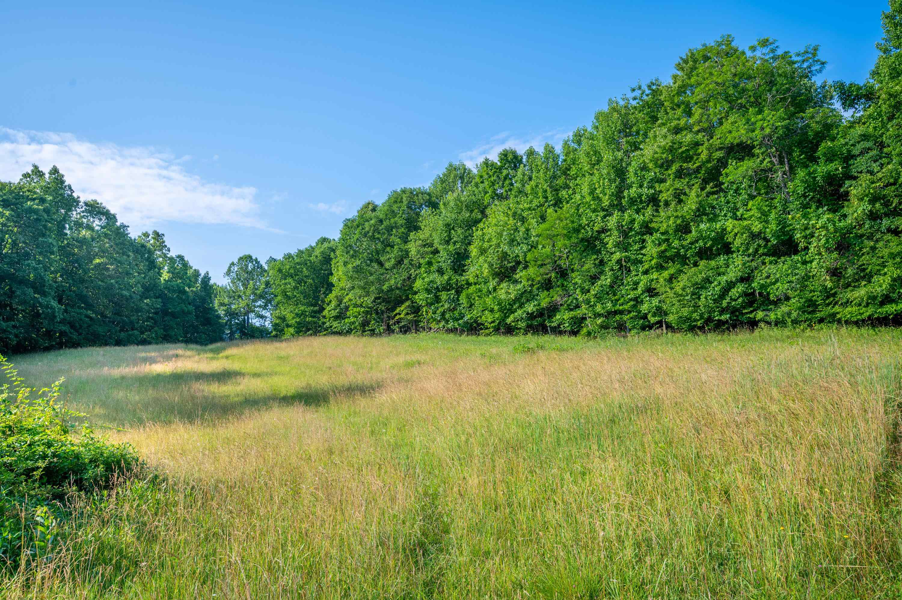 000 Fairhaven Drive Dugspur VA 24325
