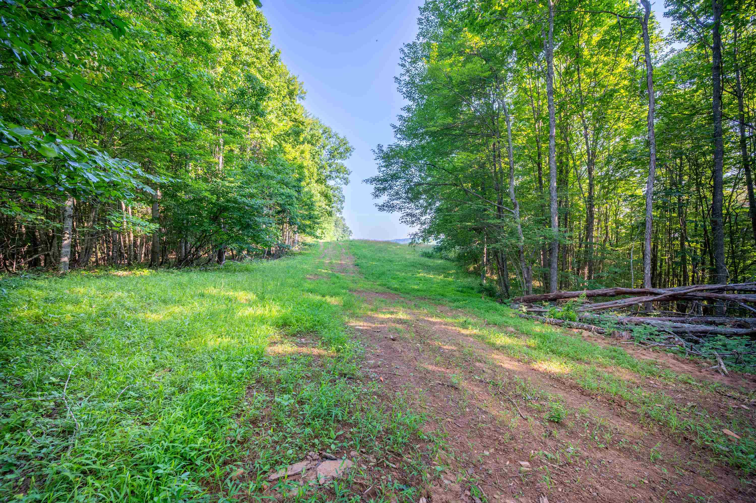000 Fairhaven Drive Dugspur VA 24325